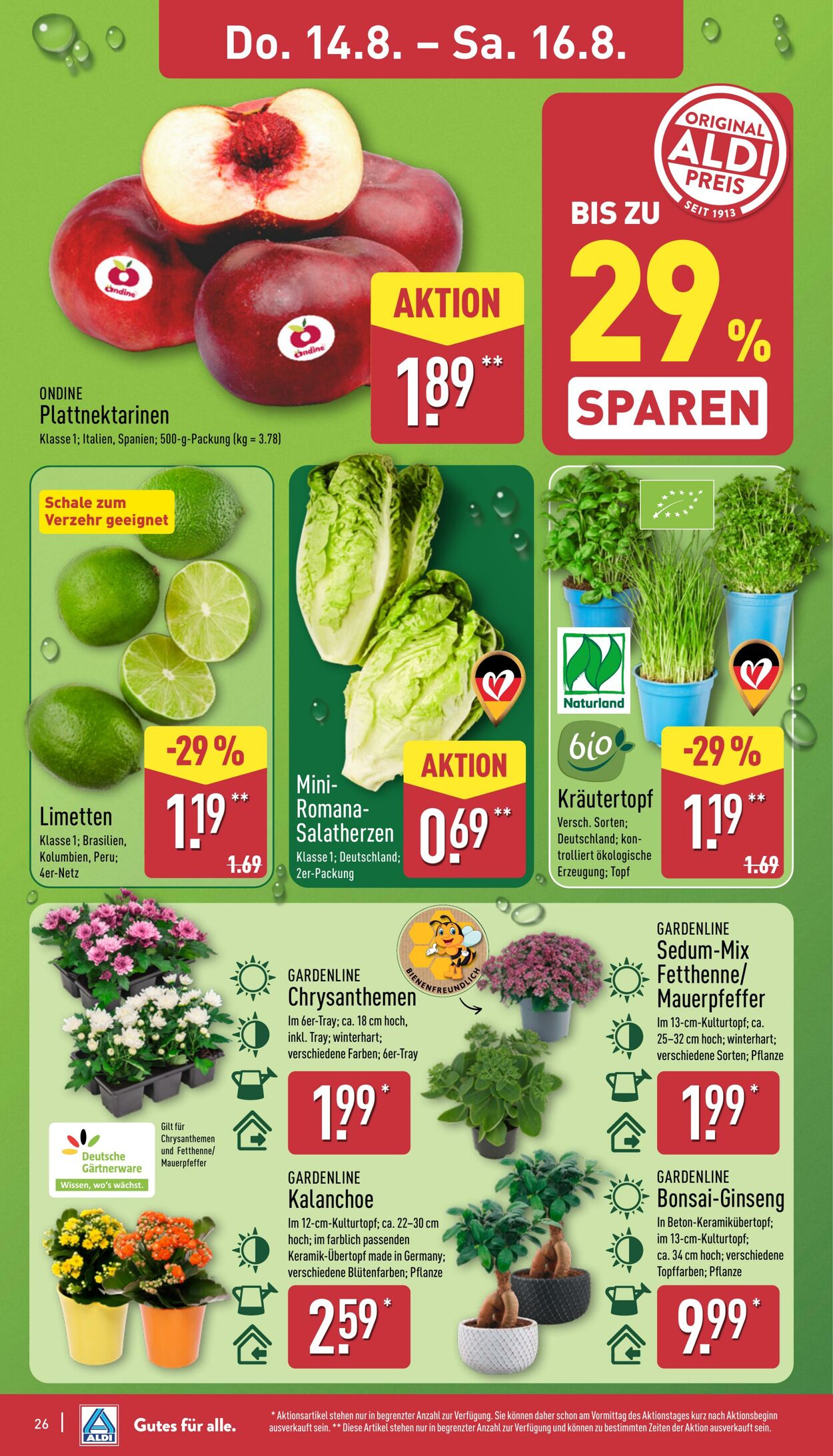Prospekt Aldi-Nord 11.08.2025 - 16.08.2025