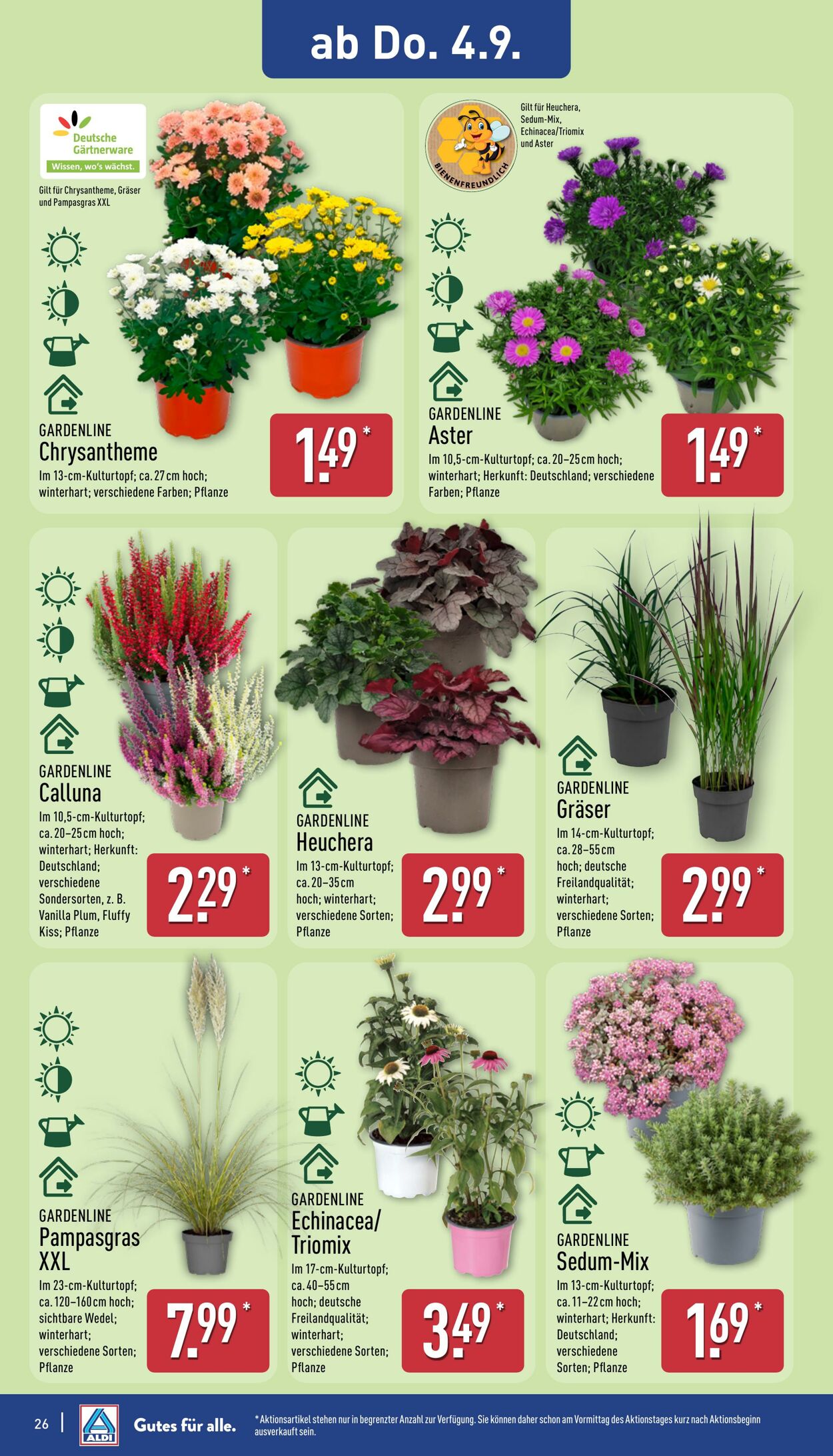 Prospekt Aldi-Nord 25.08.2025 - 30.08.2025