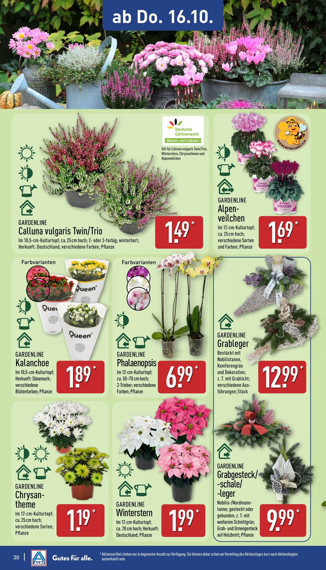 Prospekt Aldi-Nord 06.10.2025 - 11.10.2025