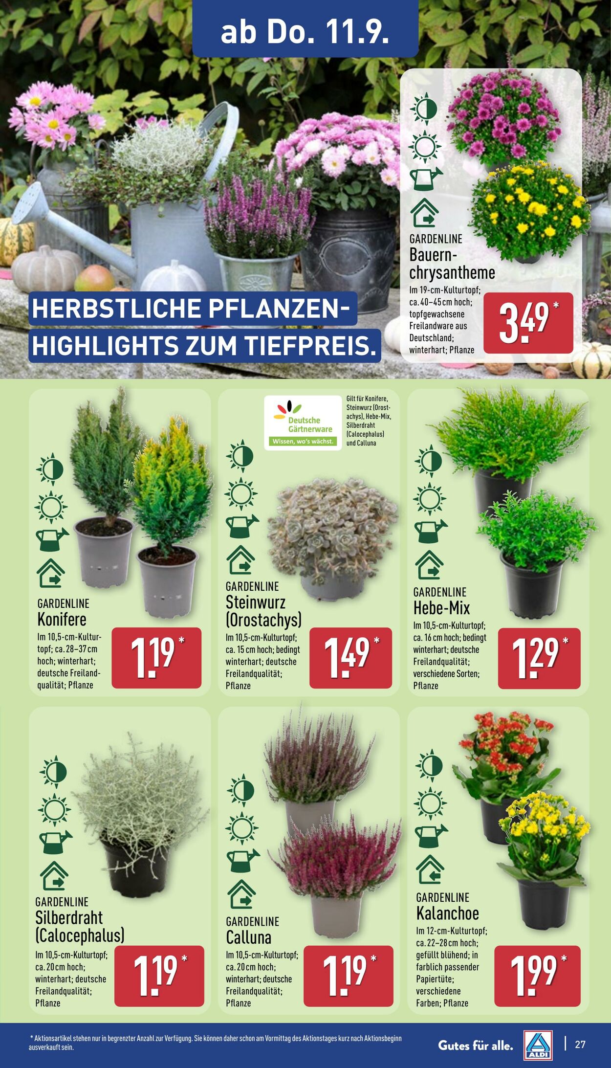 Prospekt Aldi-Nord 01.09.2025 - 06.09.2025