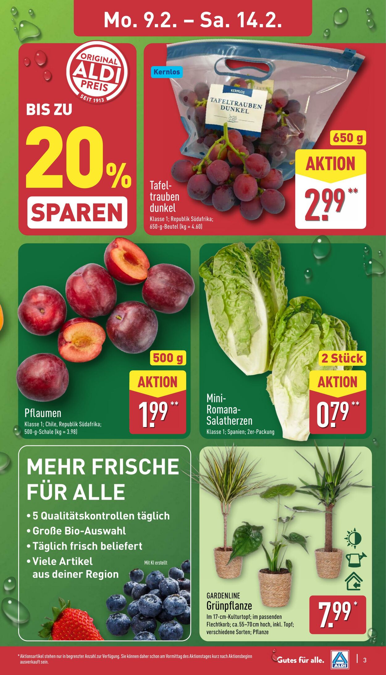 Prospekt Aldi-Nord 09.02.2026 - 14.02.2026