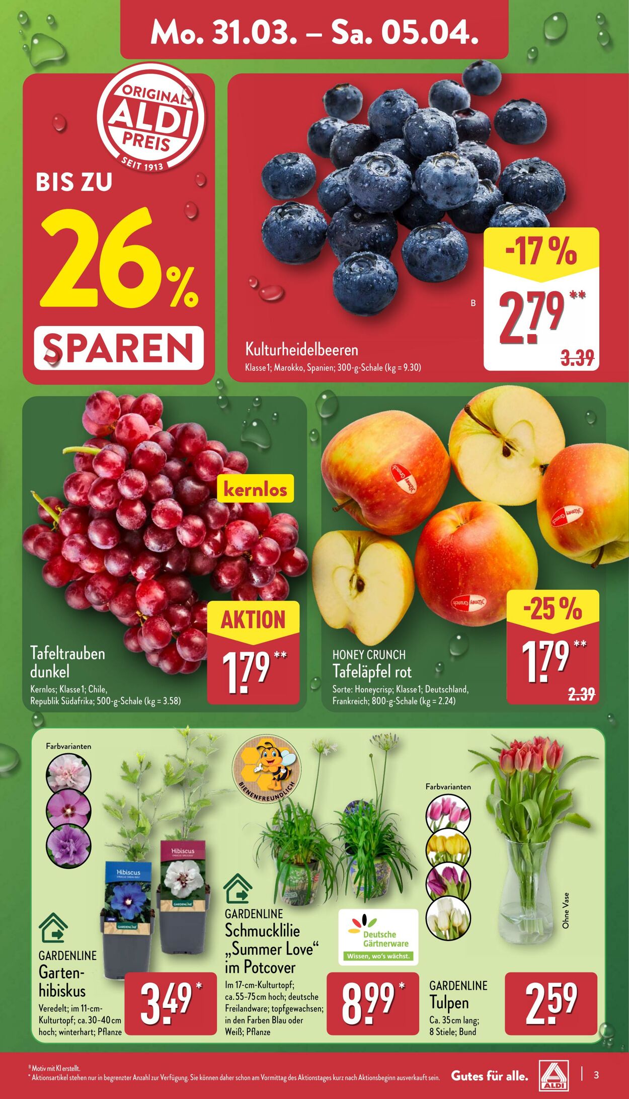 Prospekt Aldi-Nord 31.03.2025 - 05.04.2025