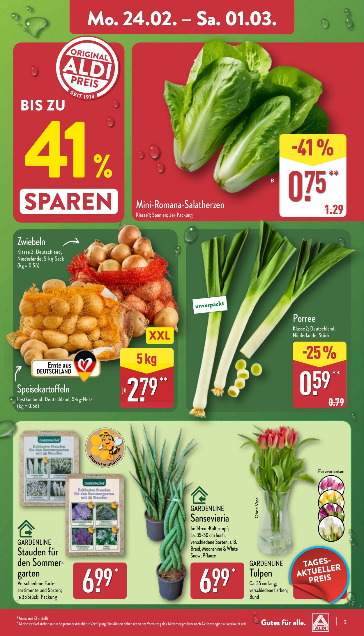 Prospekt Aldi-Nord 17.02.2025 - 22.02.2025