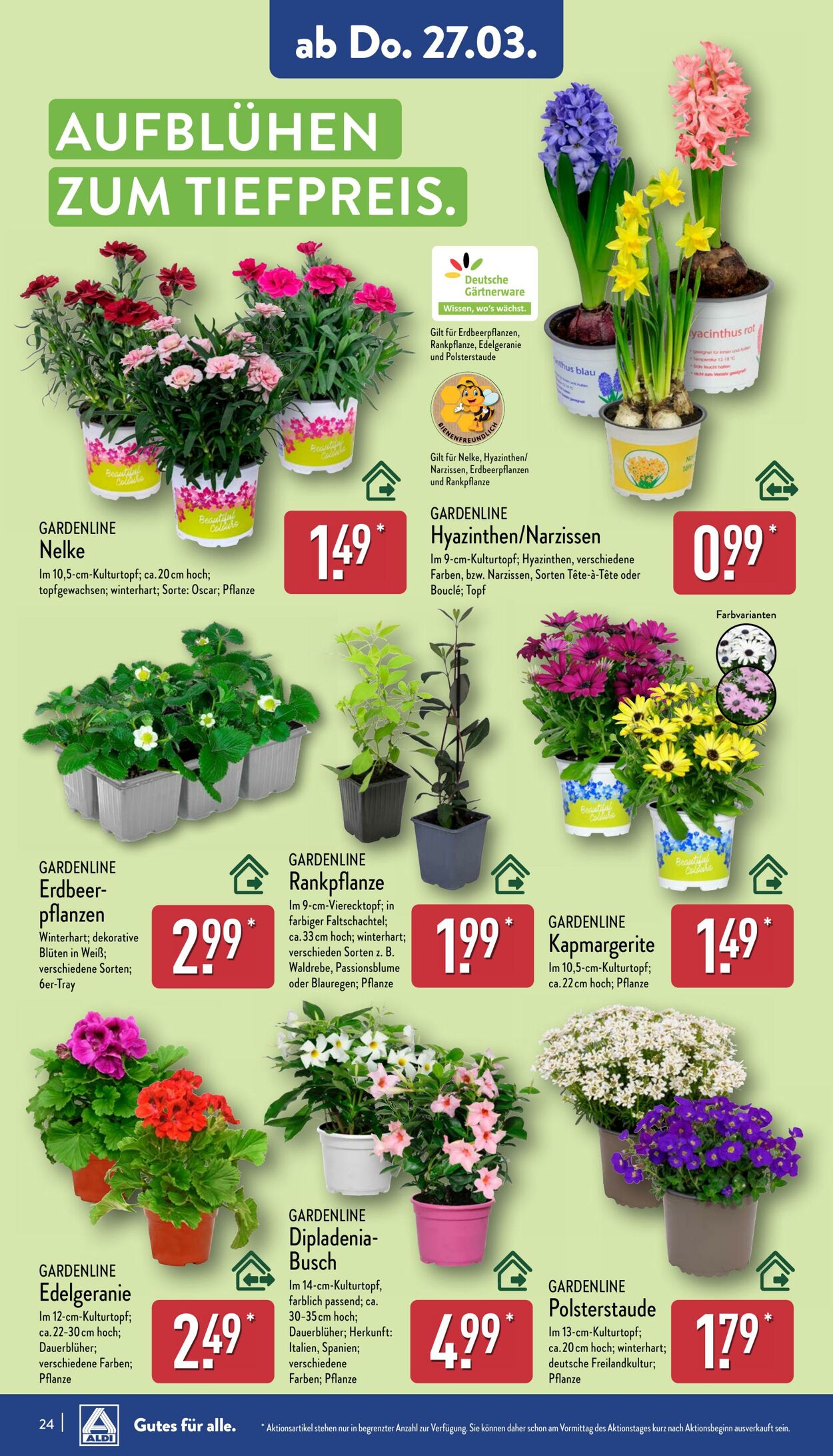 Prospekt Aldi-Nord 17.03.2025 - 22.03.2025