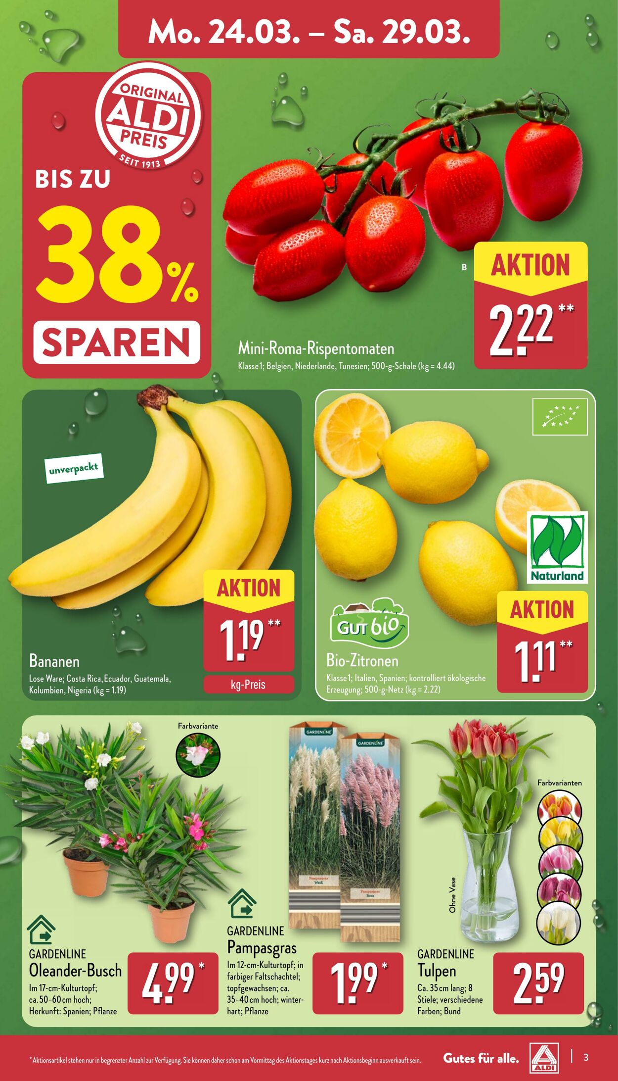 Prospekt Aldi-Nord 17.03.2025 - 22.03.2025