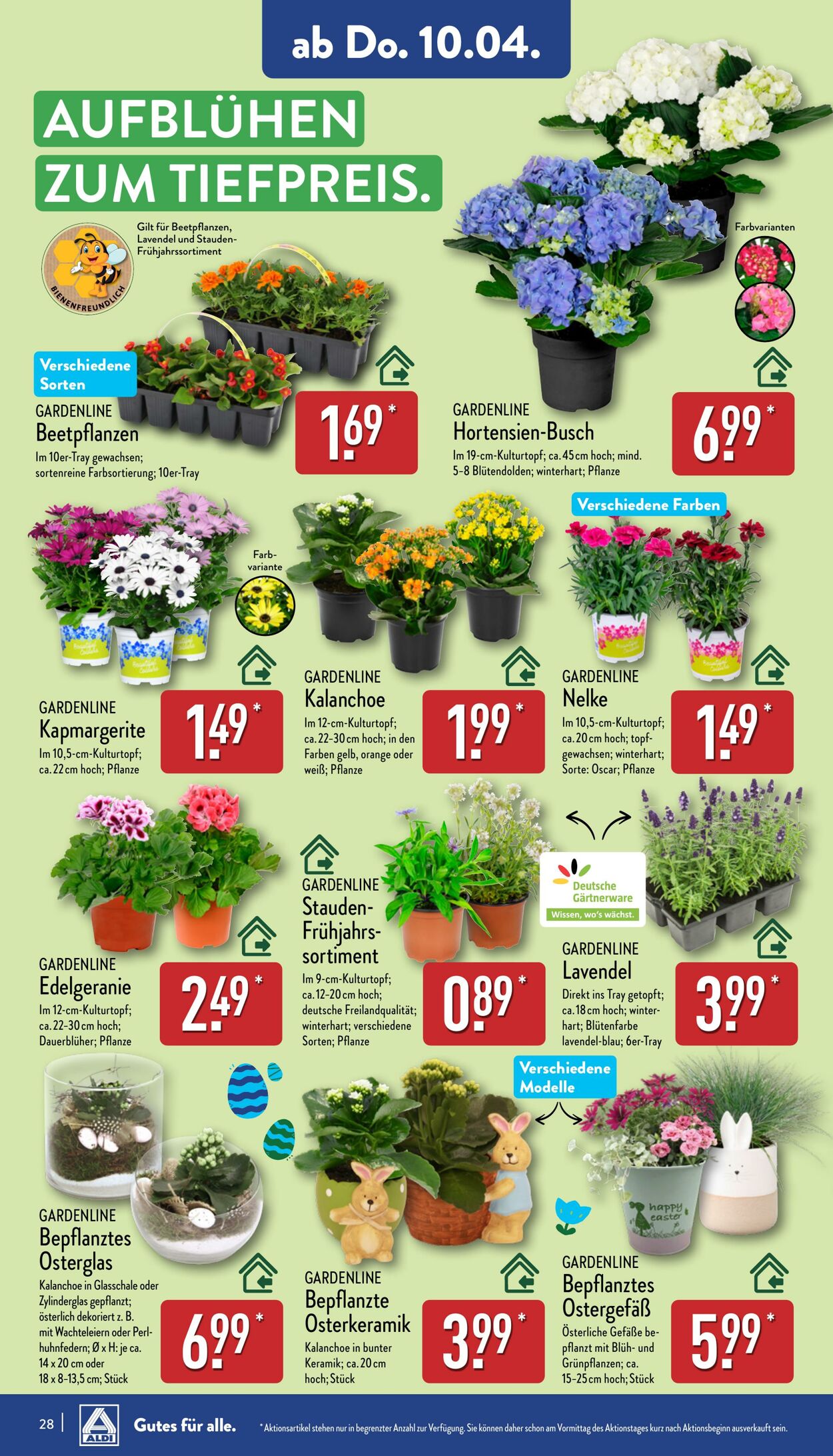 Prospekt Aldi-Nord 31.03.2025 - 05.04.2025