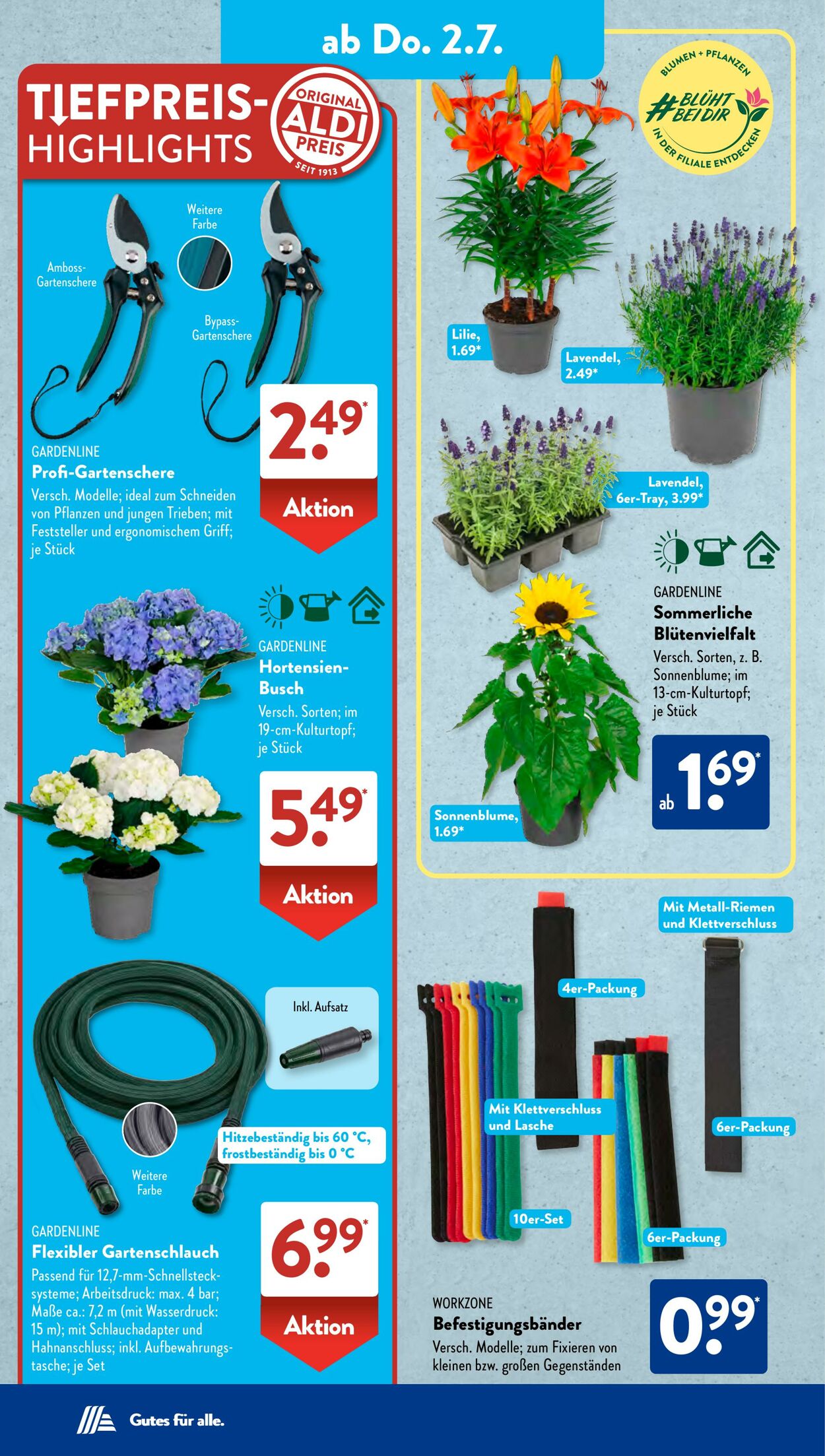Prospekt ALDI SÜD 25.06.2026 - 03.07.2026