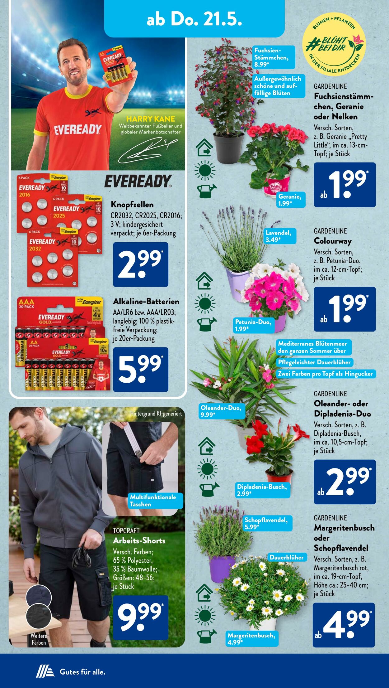 Prospekt ALDI SÜD 14.05.2026 - 22.05.2026