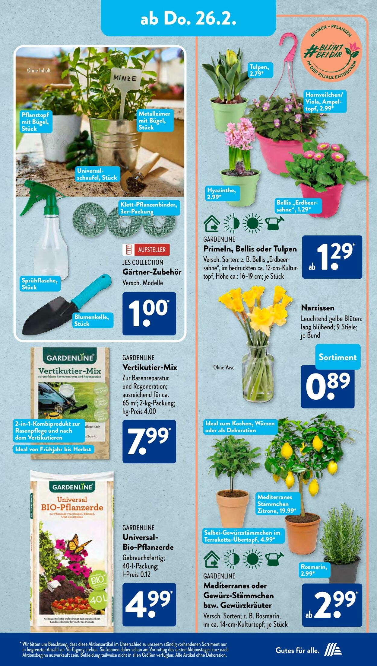 Prospekt ALDI SÜD 28.02.2026 - 08.03.2026