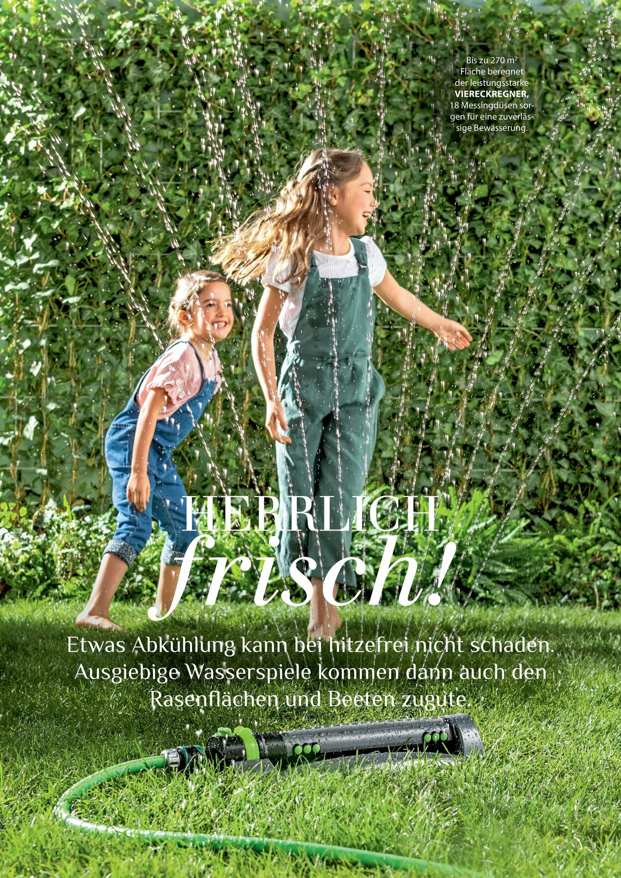 Prospekt Dehner 16.04.2026 - 24.04.2026