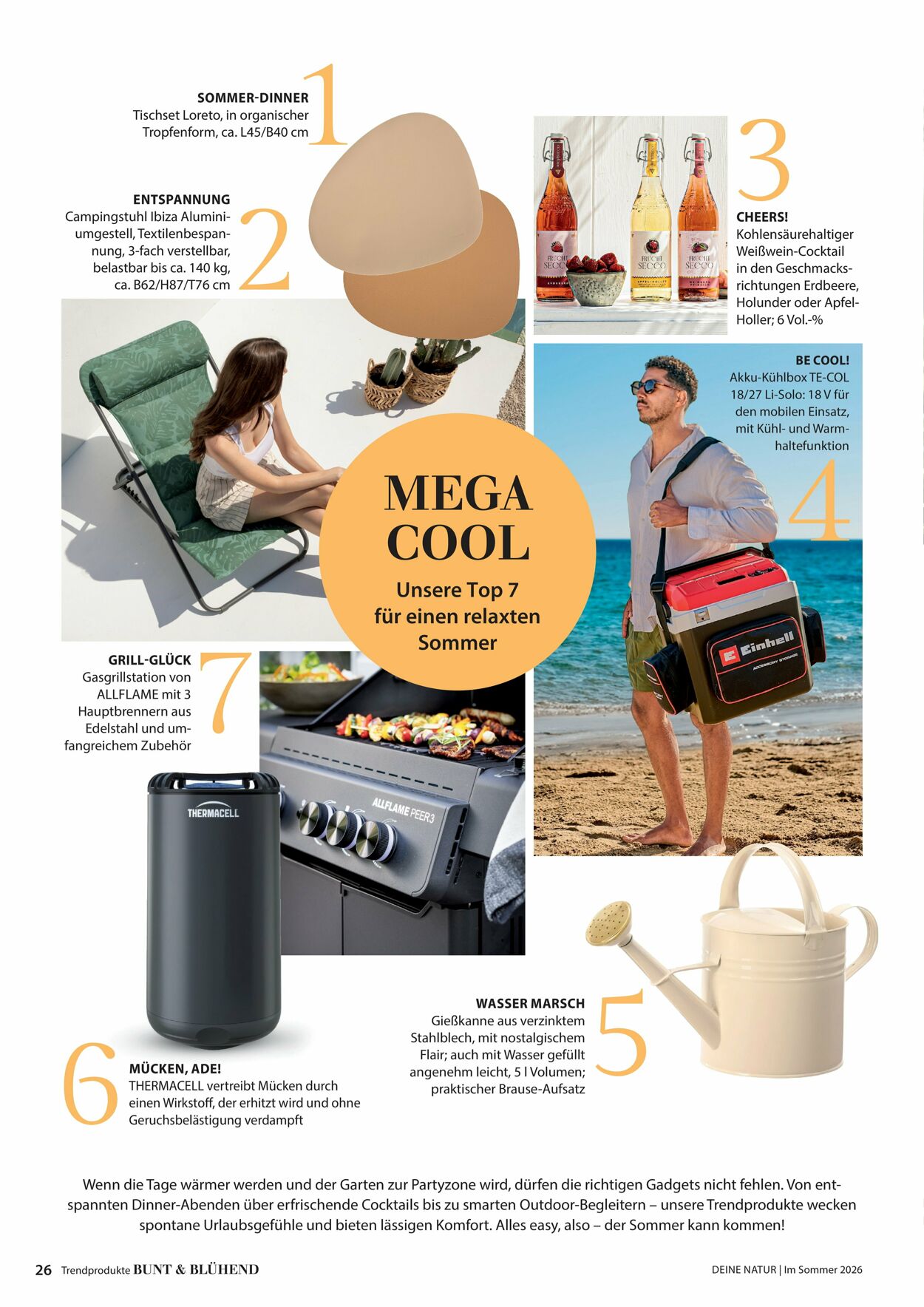 Prospekt Dehner 16.04.2026 - 24.04.2026