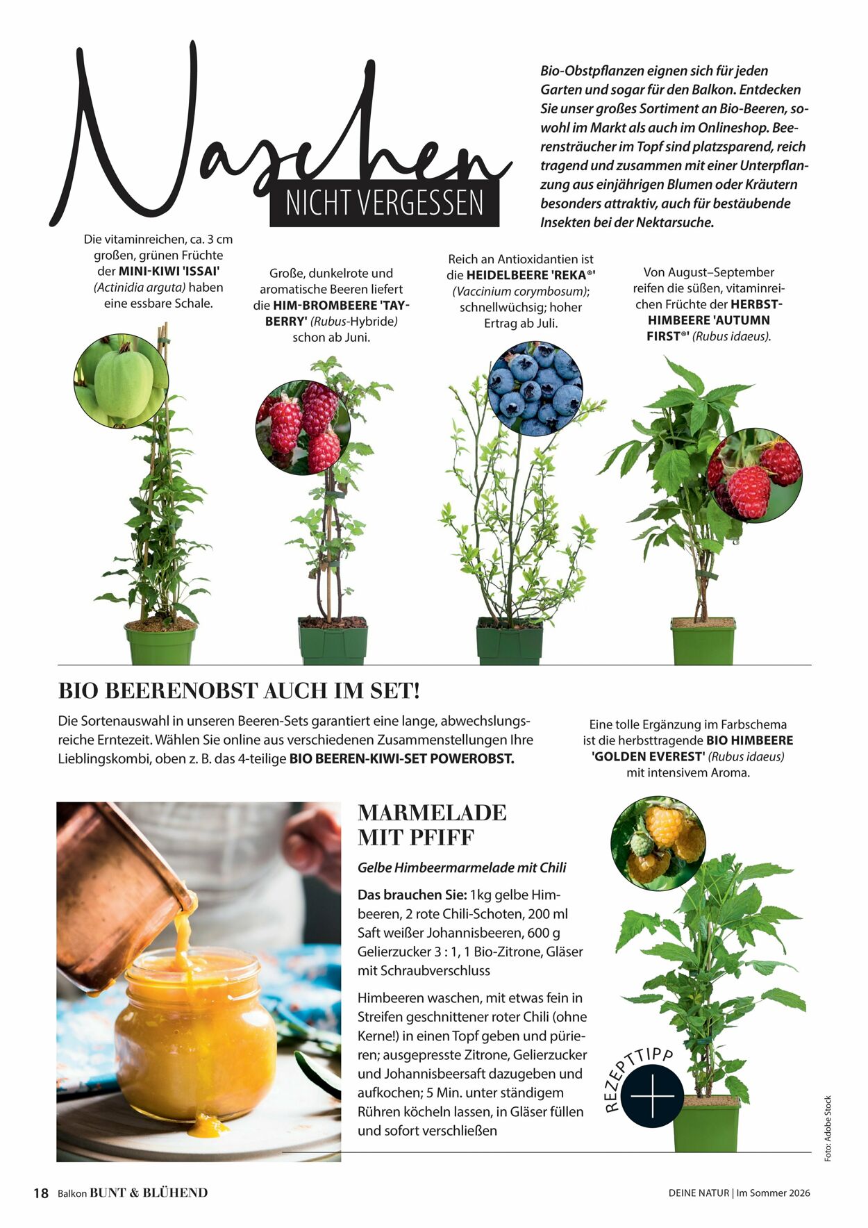 Prospekt Dehner 16.04.2026 - 24.04.2026