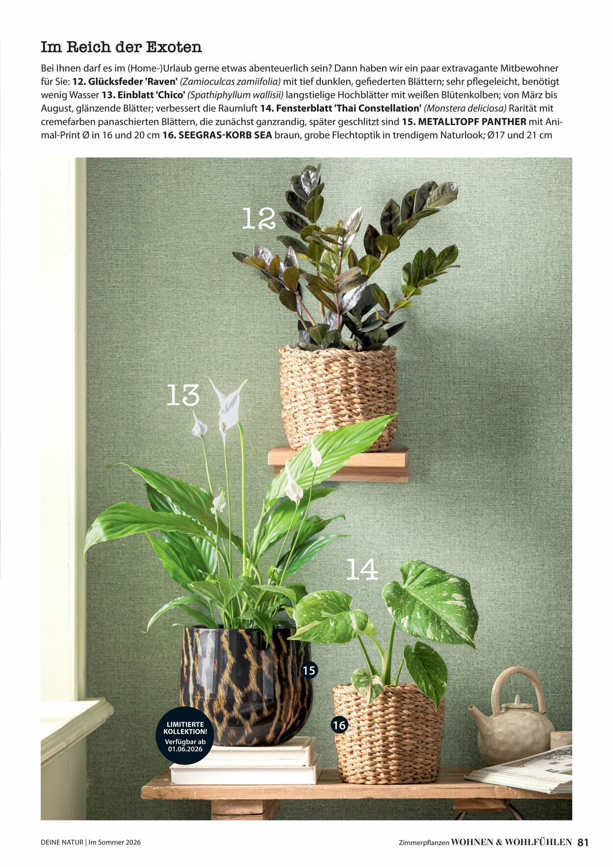 Prospekt Dehner 16.04.2026 - 24.04.2026