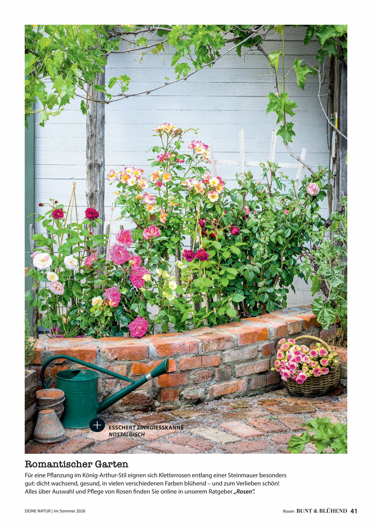 Prospekt Dehner 16.04.2026 - 24.04.2026