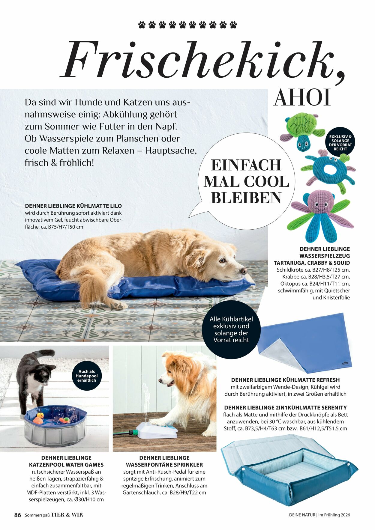 Prospekt Dehner 16.04.2026 - 24.04.2026