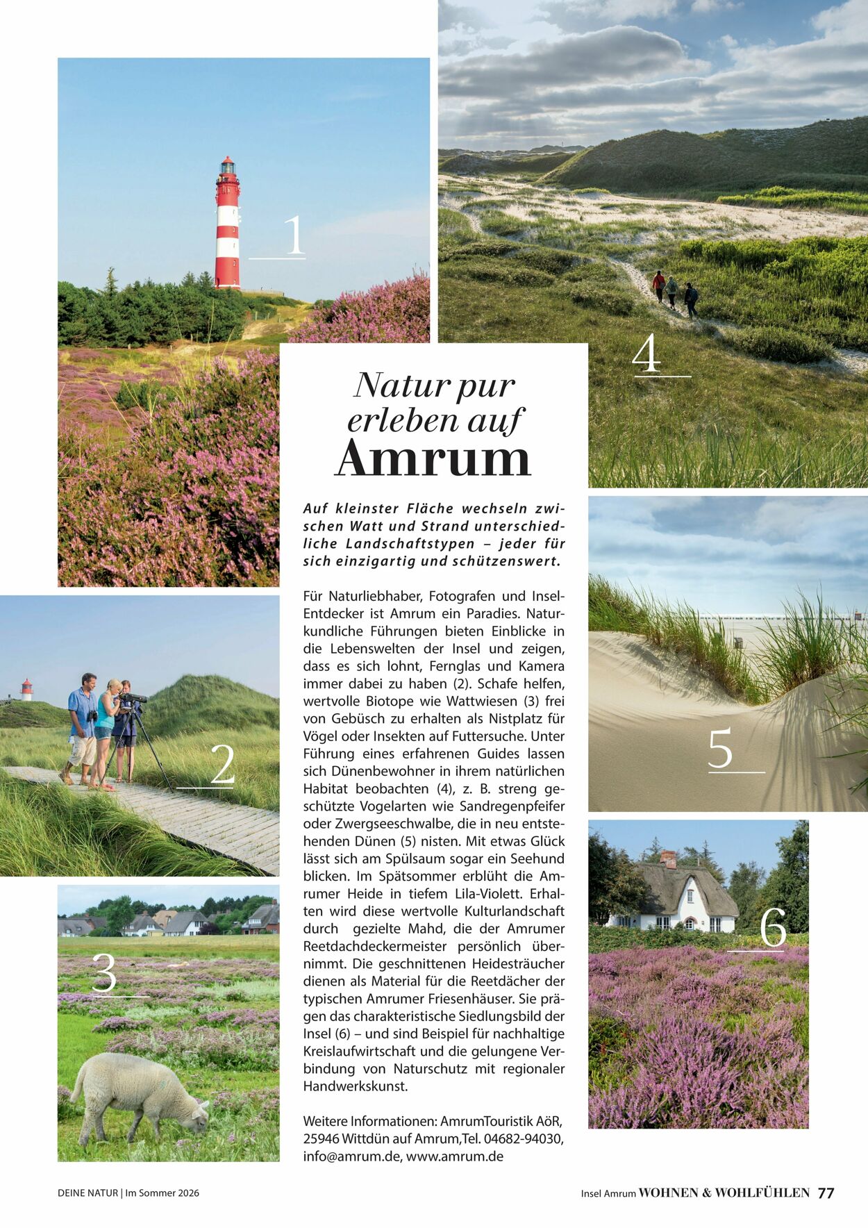 Prospekt Dehner 16.04.2026 - 24.04.2026