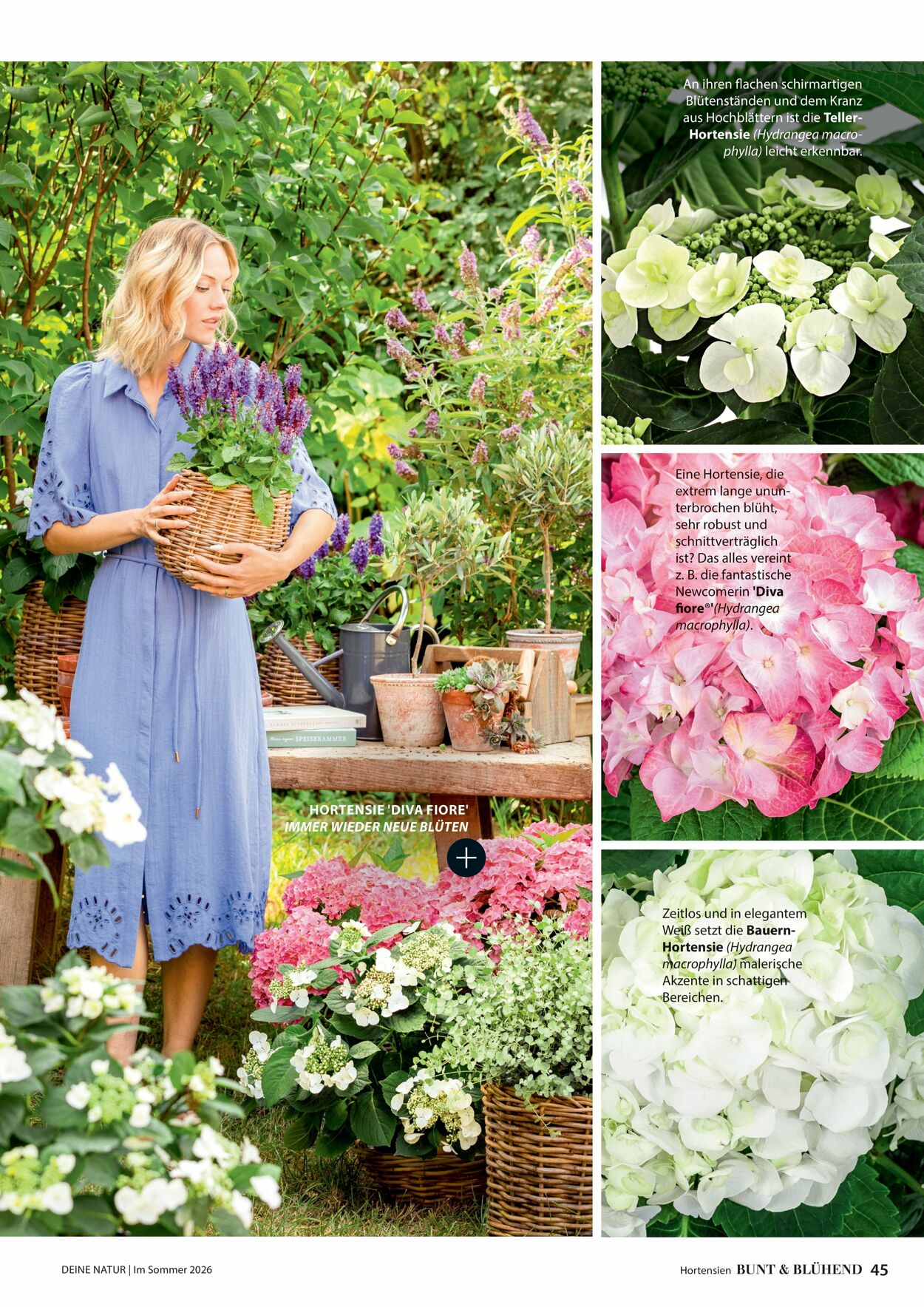 Prospekt Dehner 16.04.2026 - 24.04.2026