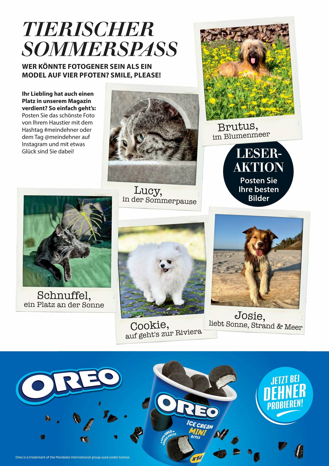 Prospekt Dehner 16.04.2026 - 24.04.2026