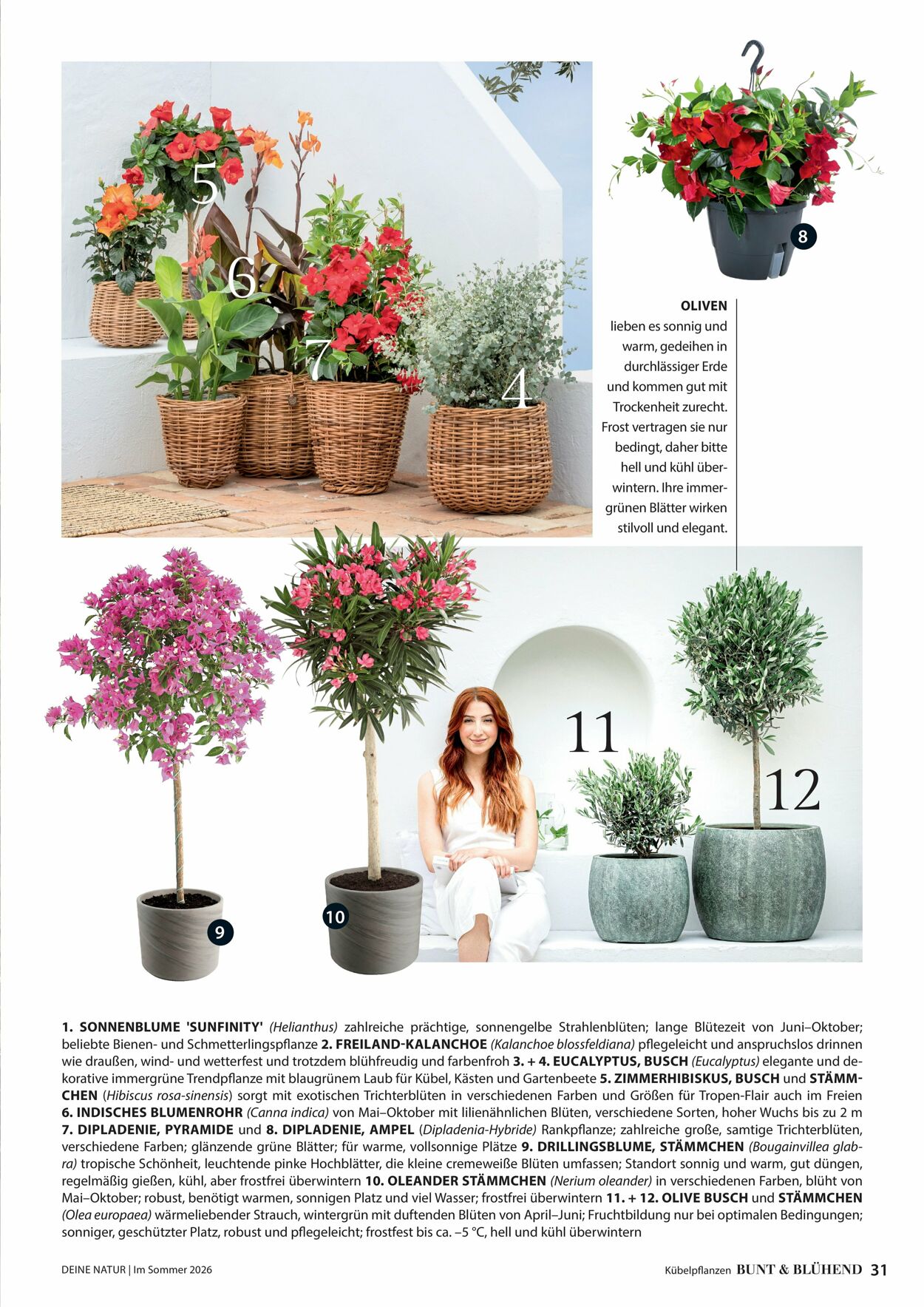 Prospekt Dehner 16.04.2026 - 24.04.2026