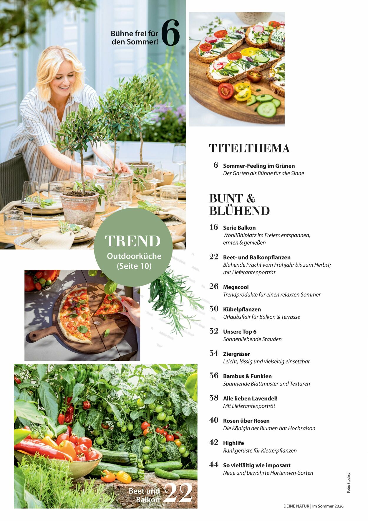 Prospekt Dehner 16.04.2026 - 24.04.2026