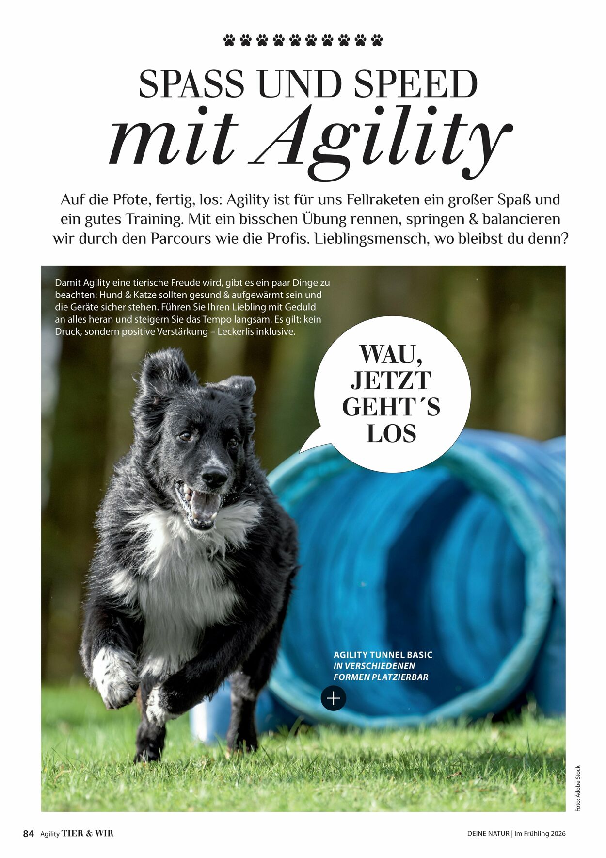 Prospekt Dehner 16.04.2026 - 24.04.2026