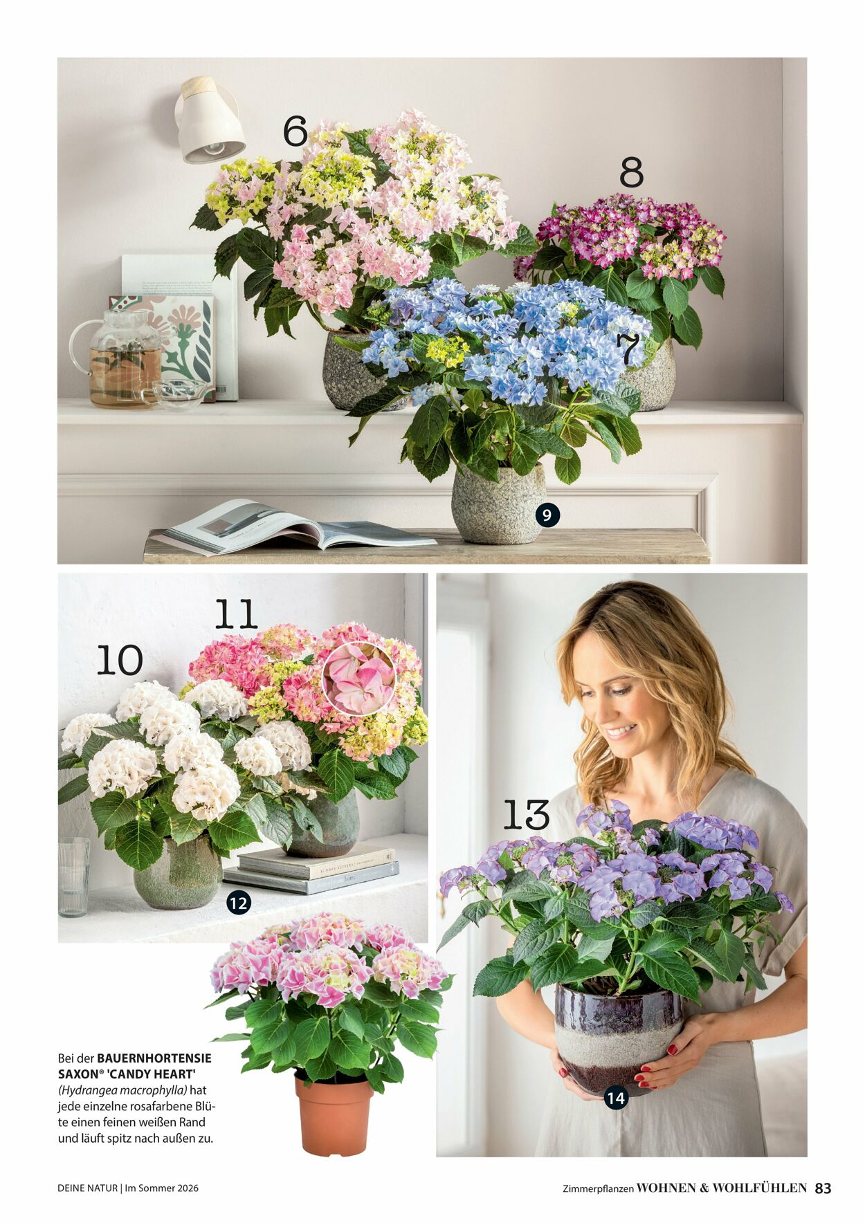 Prospekt Dehner 16.04.2026 - 24.04.2026