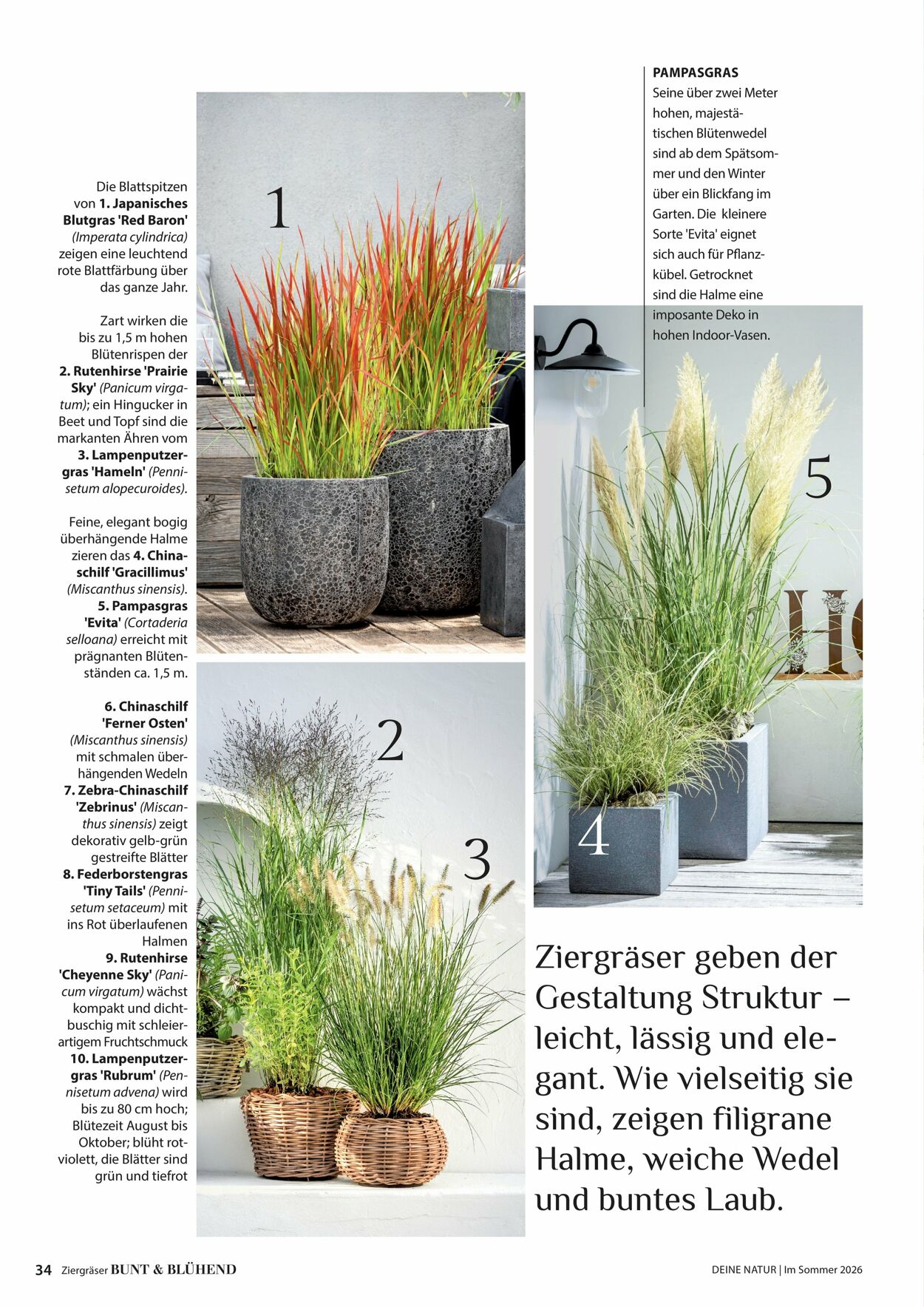 Prospekt Dehner 16.04.2026 - 24.04.2026