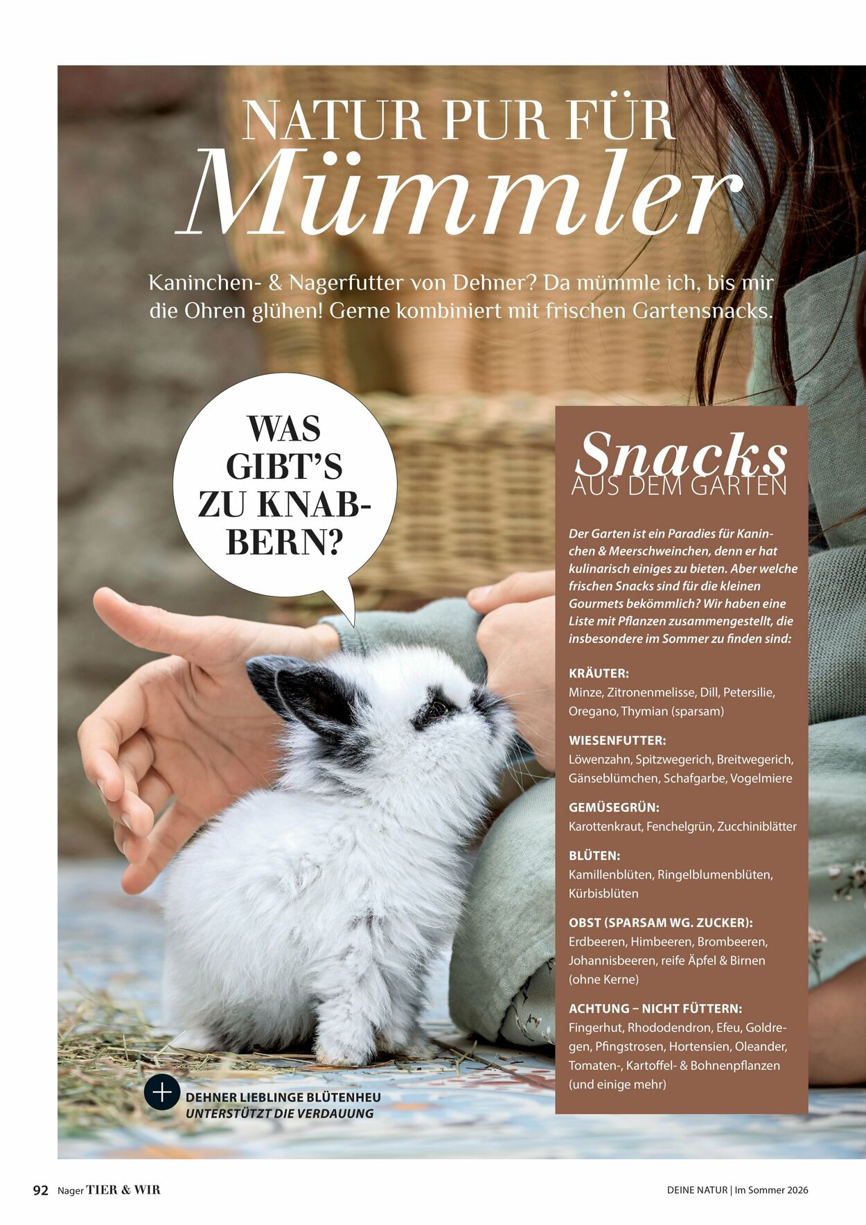 Prospekt Dehner 16.04.2026 - 24.04.2026