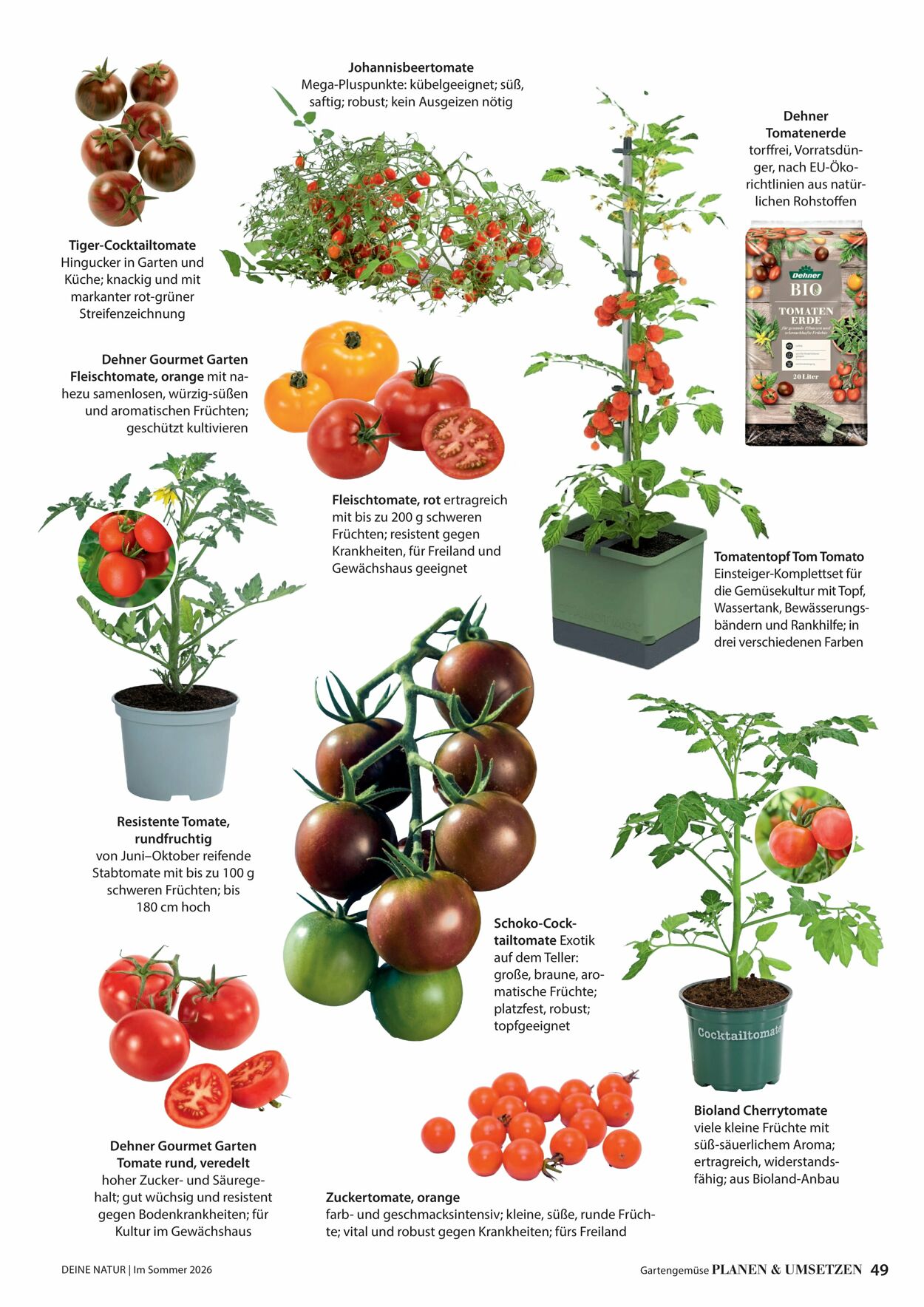 Prospekt Dehner 16.04.2026 - 24.04.2026