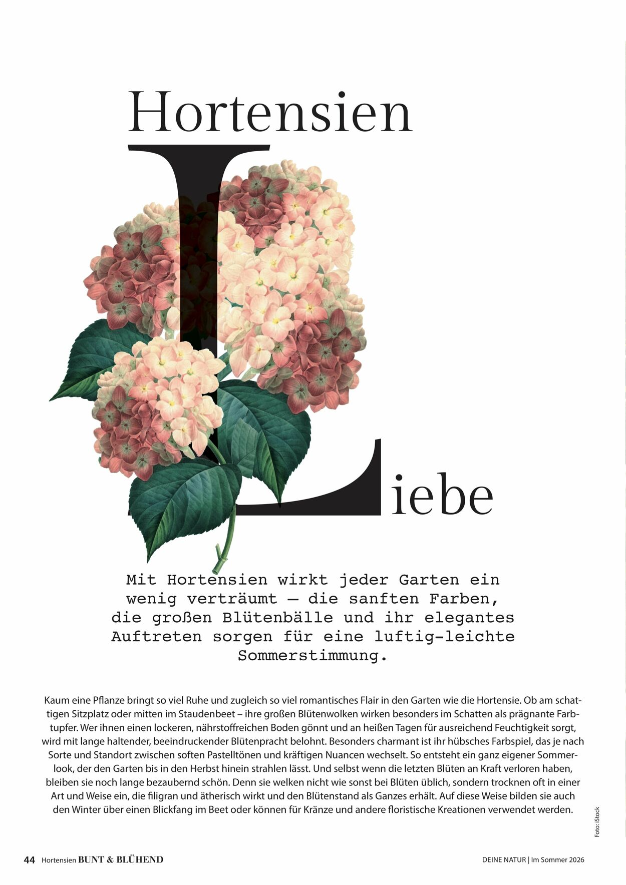 Prospekt Dehner 16.04.2026 - 24.04.2026