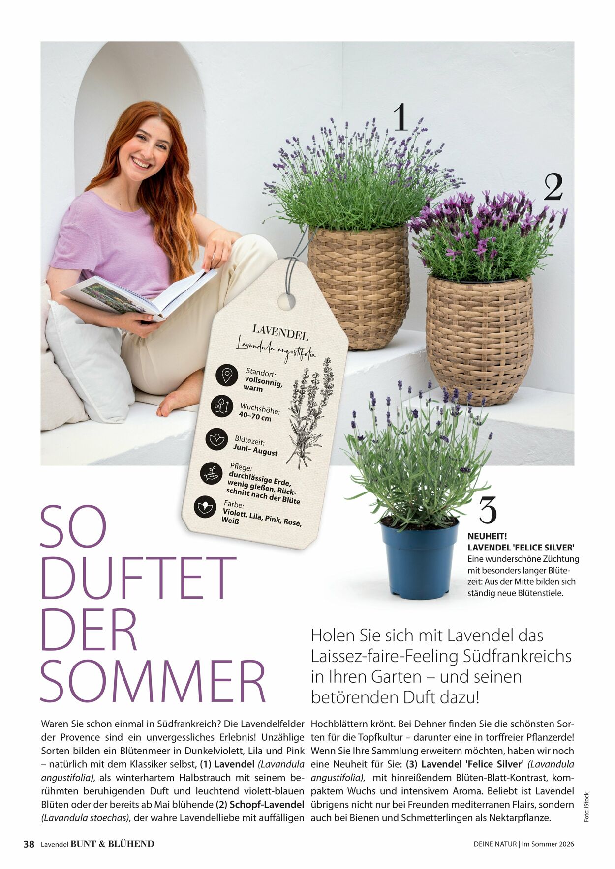 Prospekt Dehner 16.04.2026 - 24.04.2026