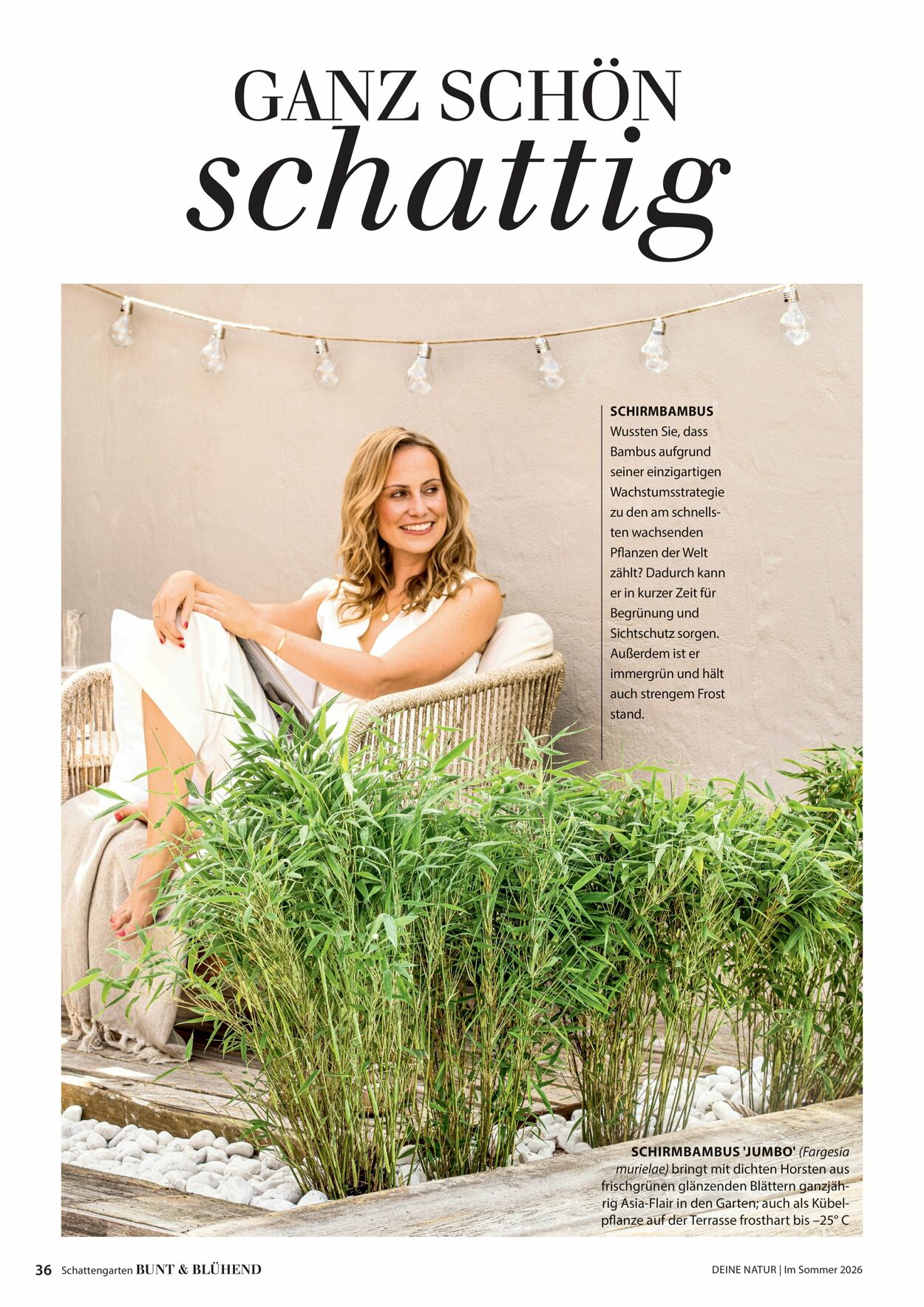 Prospekt Dehner 16.04.2026 - 24.04.2026