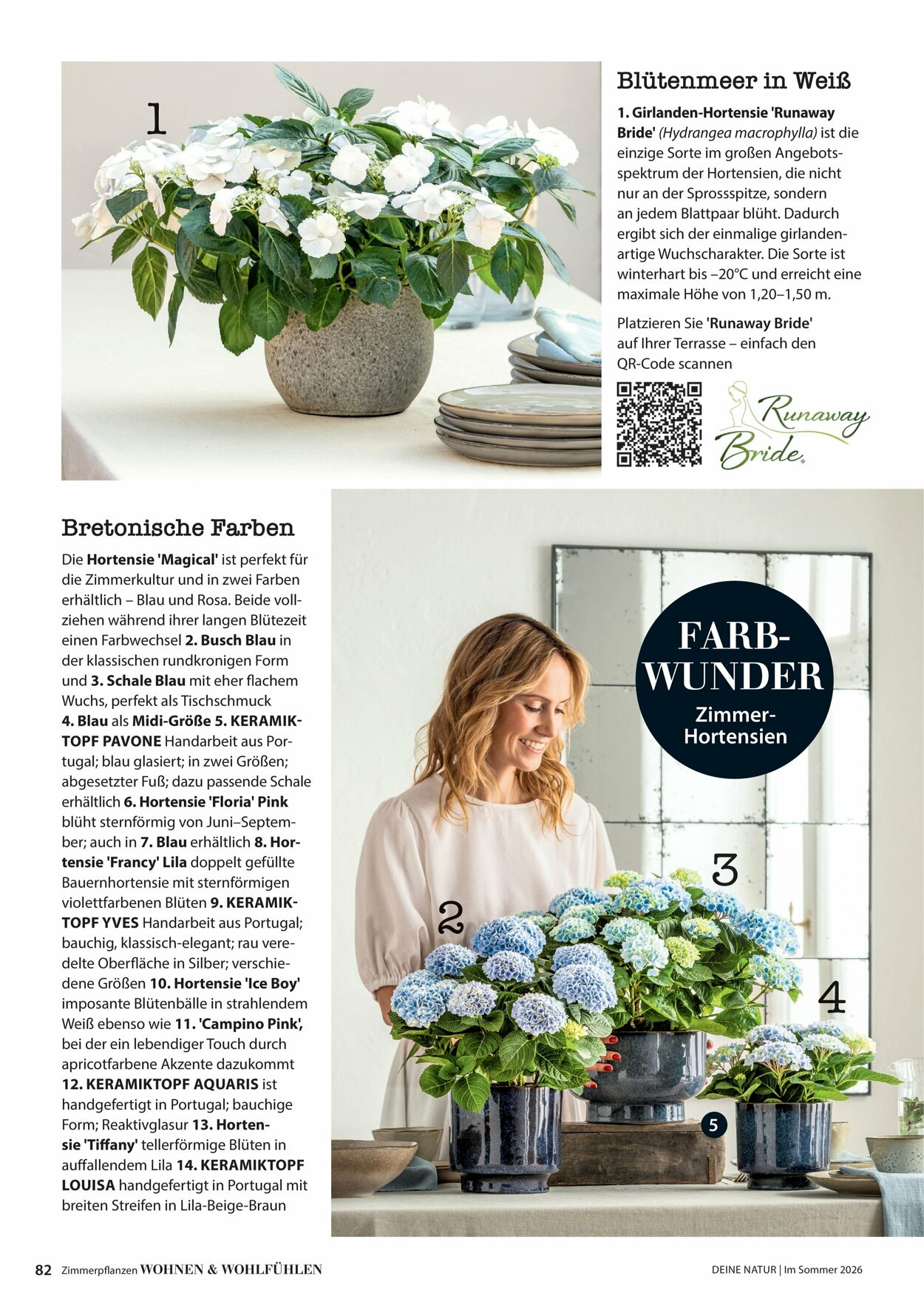 Prospekt Dehner 16.04.2026 - 24.04.2026