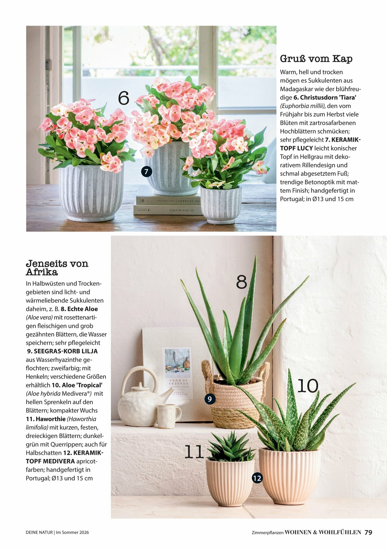 Prospekt Dehner 16.04.2026 - 24.04.2026