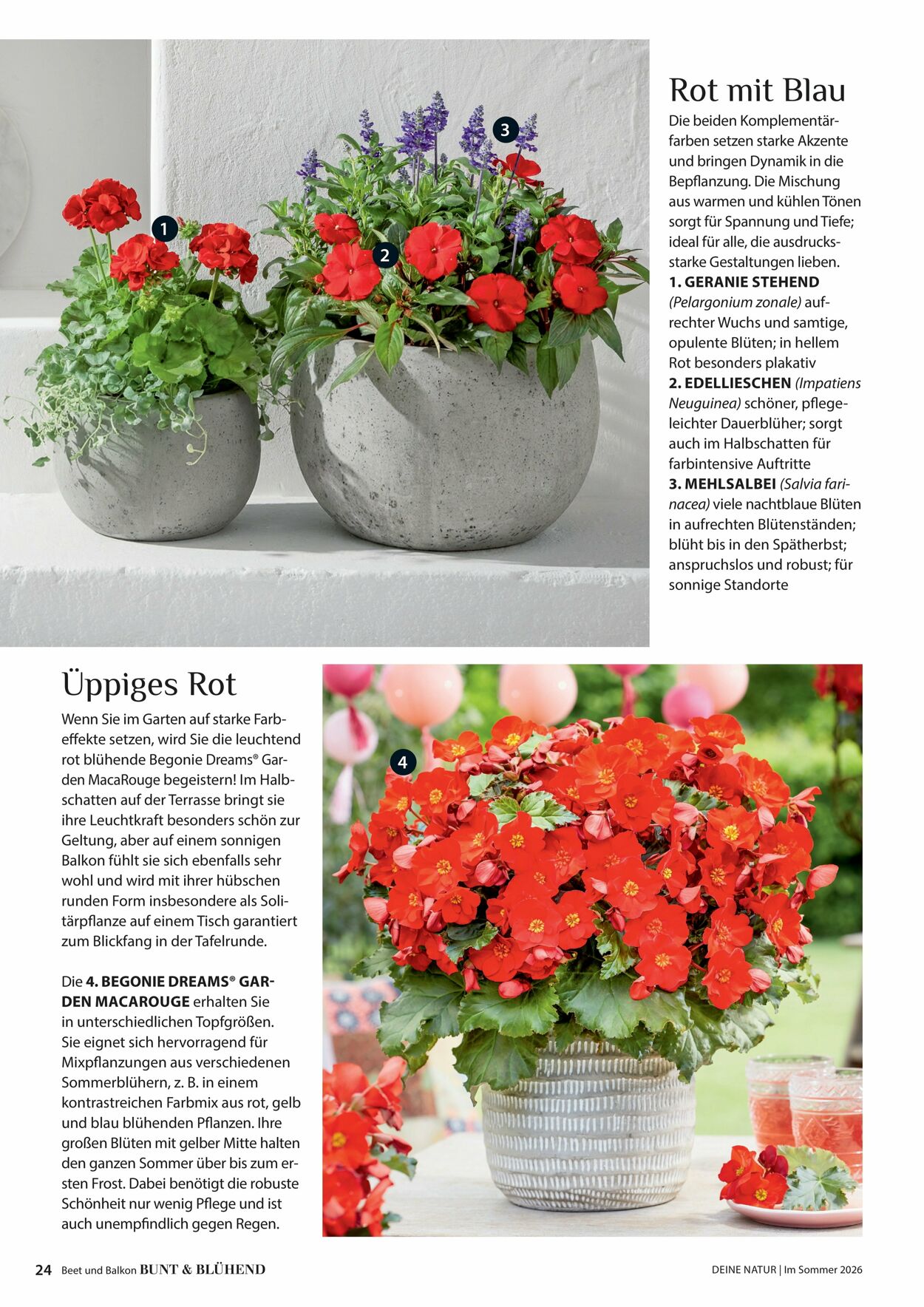 Prospekt Dehner 16.04.2026 - 24.04.2026