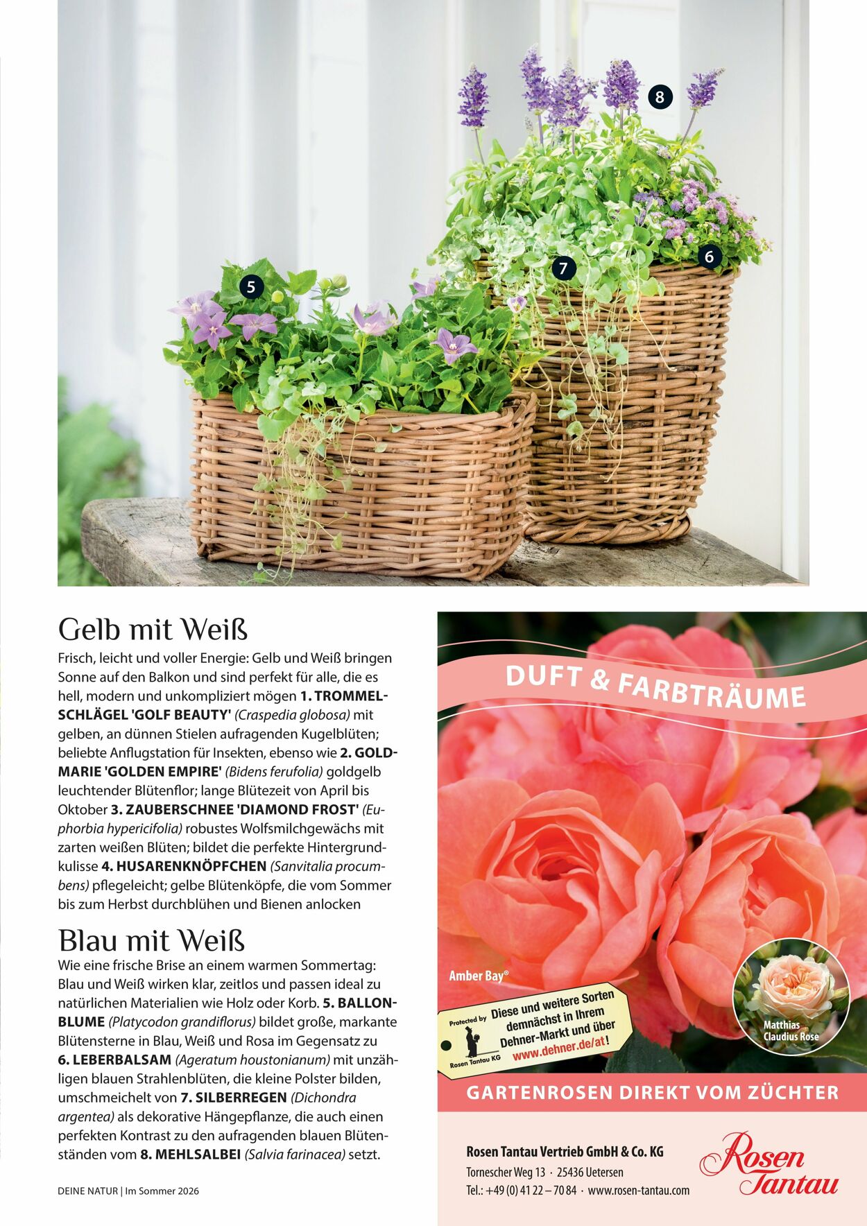 Prospekt Dehner 16.04.2026 - 24.04.2026