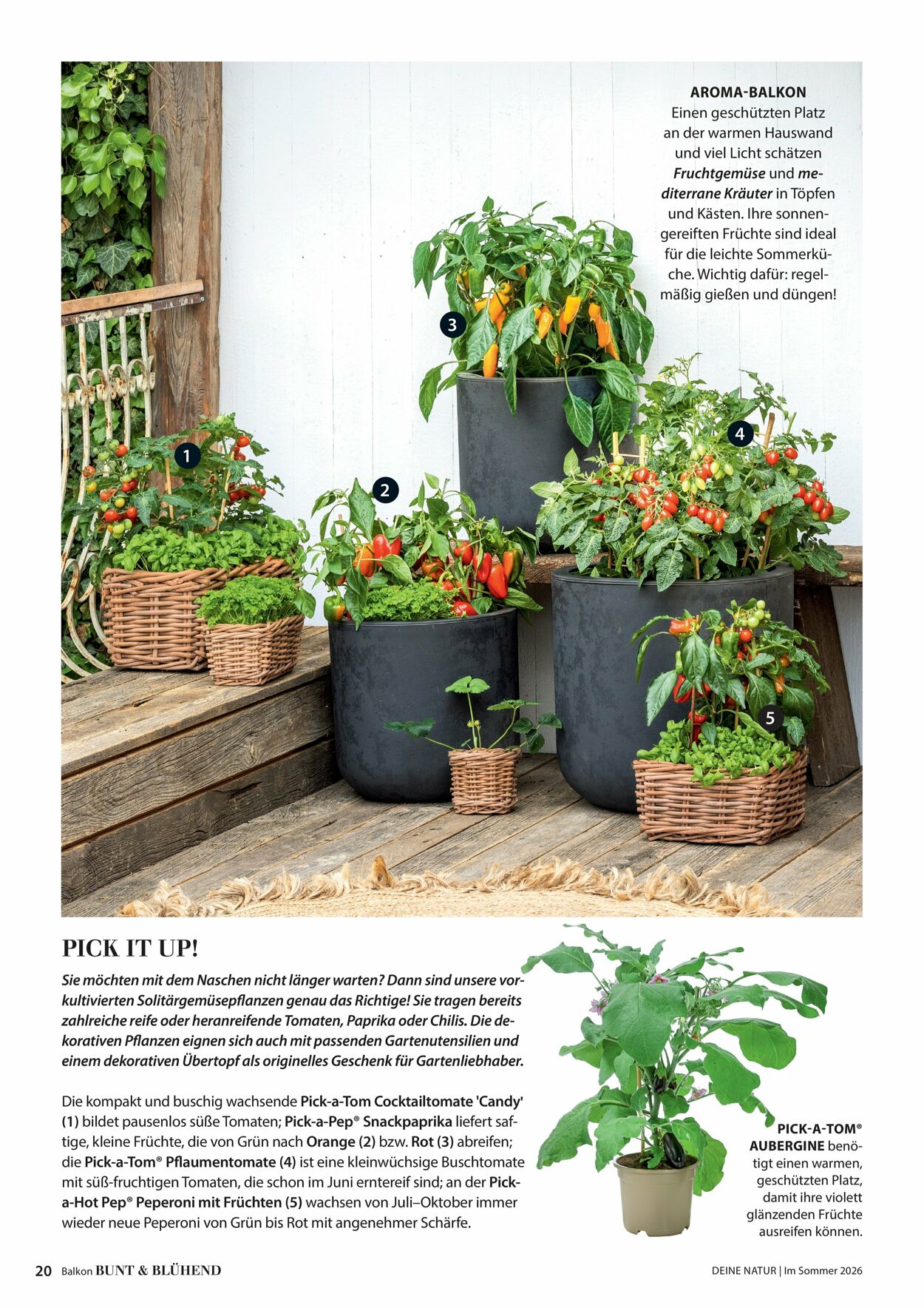 Prospekt Dehner 16.04.2026 - 24.04.2026