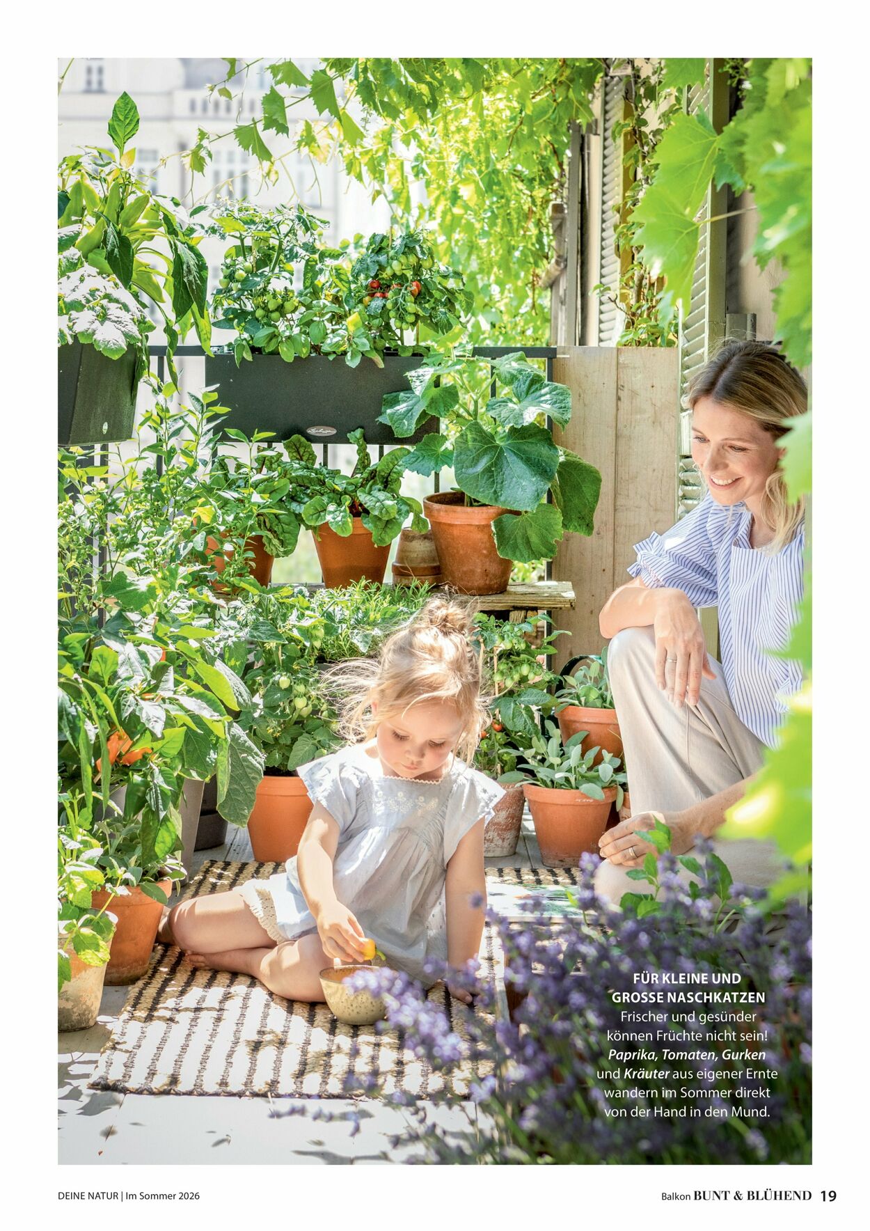 Prospekt Dehner 16.04.2026 - 24.04.2026