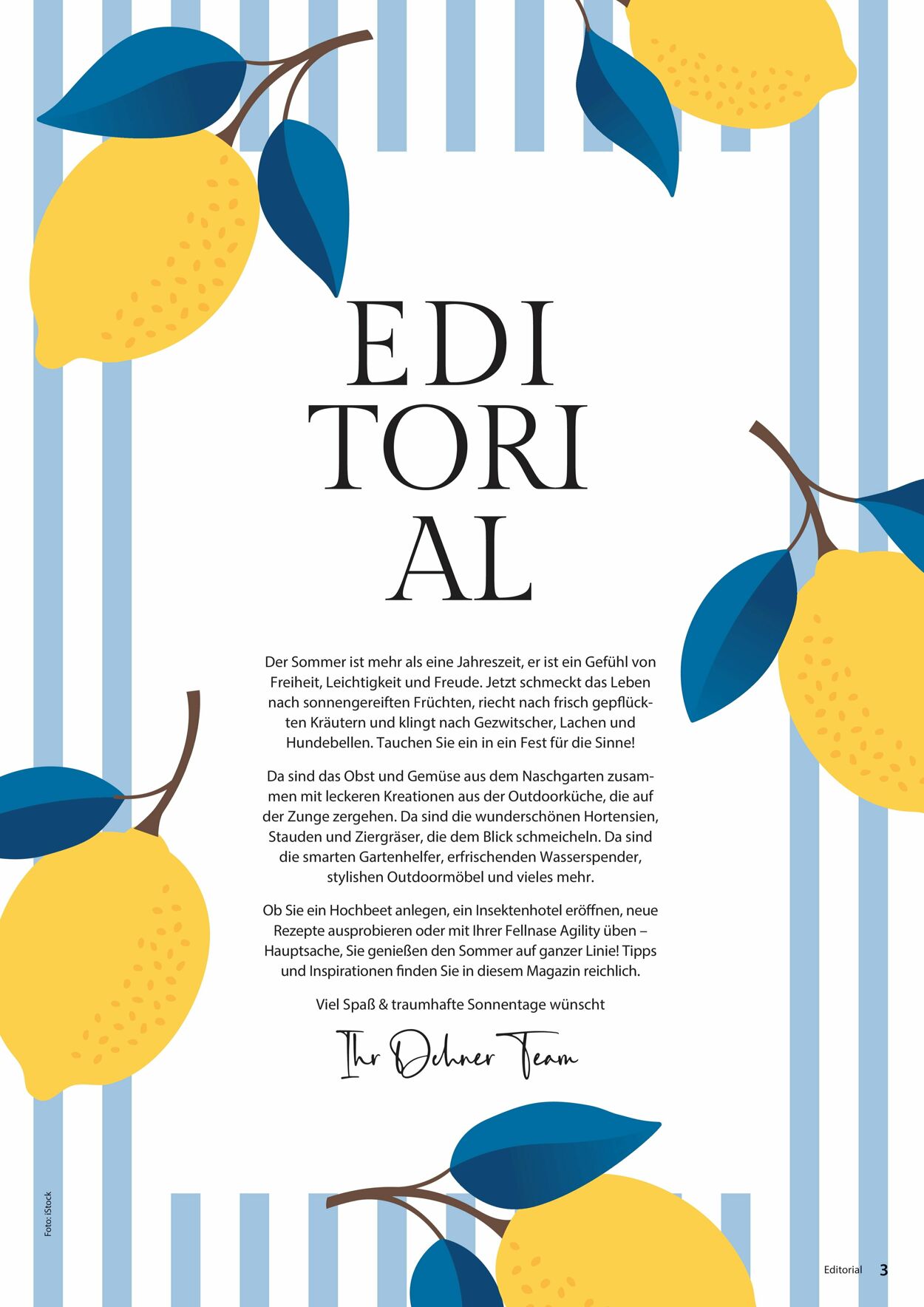 Prospekt Dehner 16.04.2026 - 24.04.2026