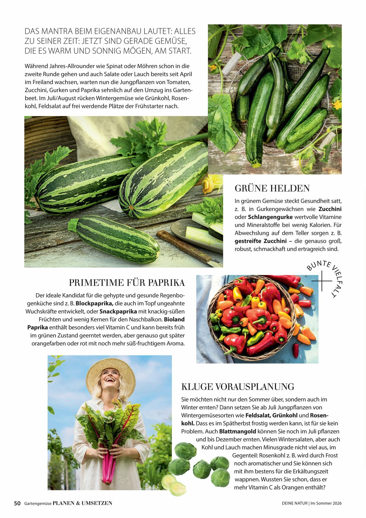 Prospekt Dehner 16.04.2026 - 24.04.2026