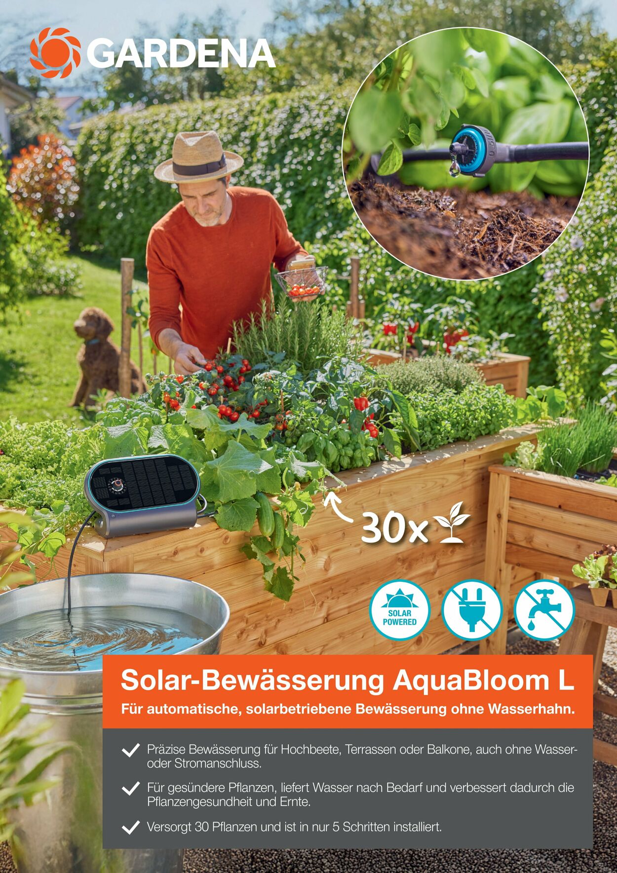 Prospekt Dehner 16.04.2026 - 24.04.2026