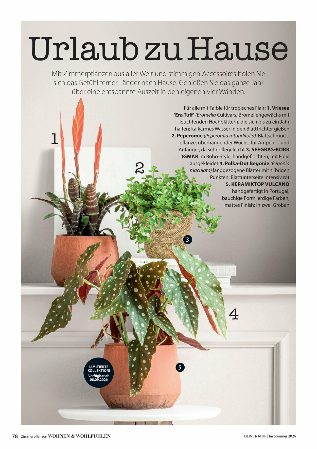 Prospekt Dehner 16.04.2026 - 24.04.2026