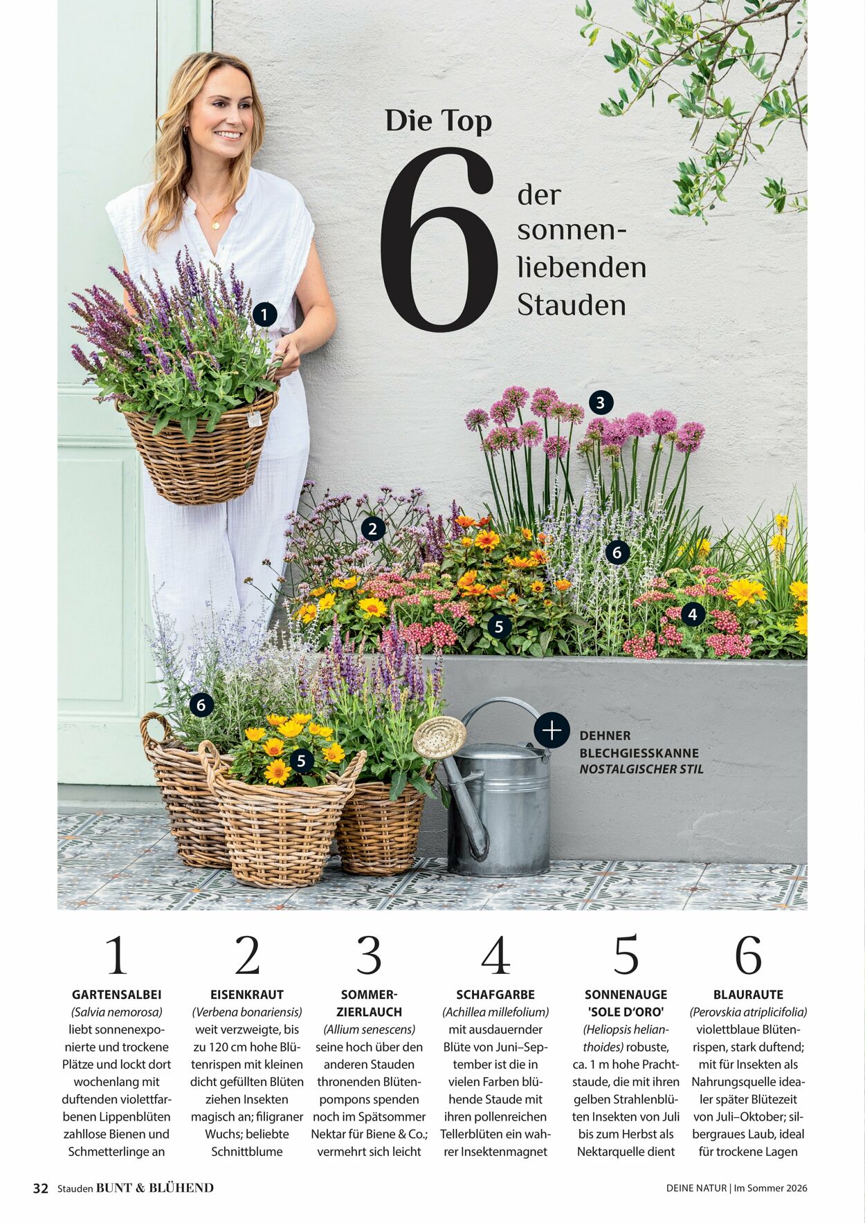 Prospekt Dehner 16.04.2026 - 24.04.2026