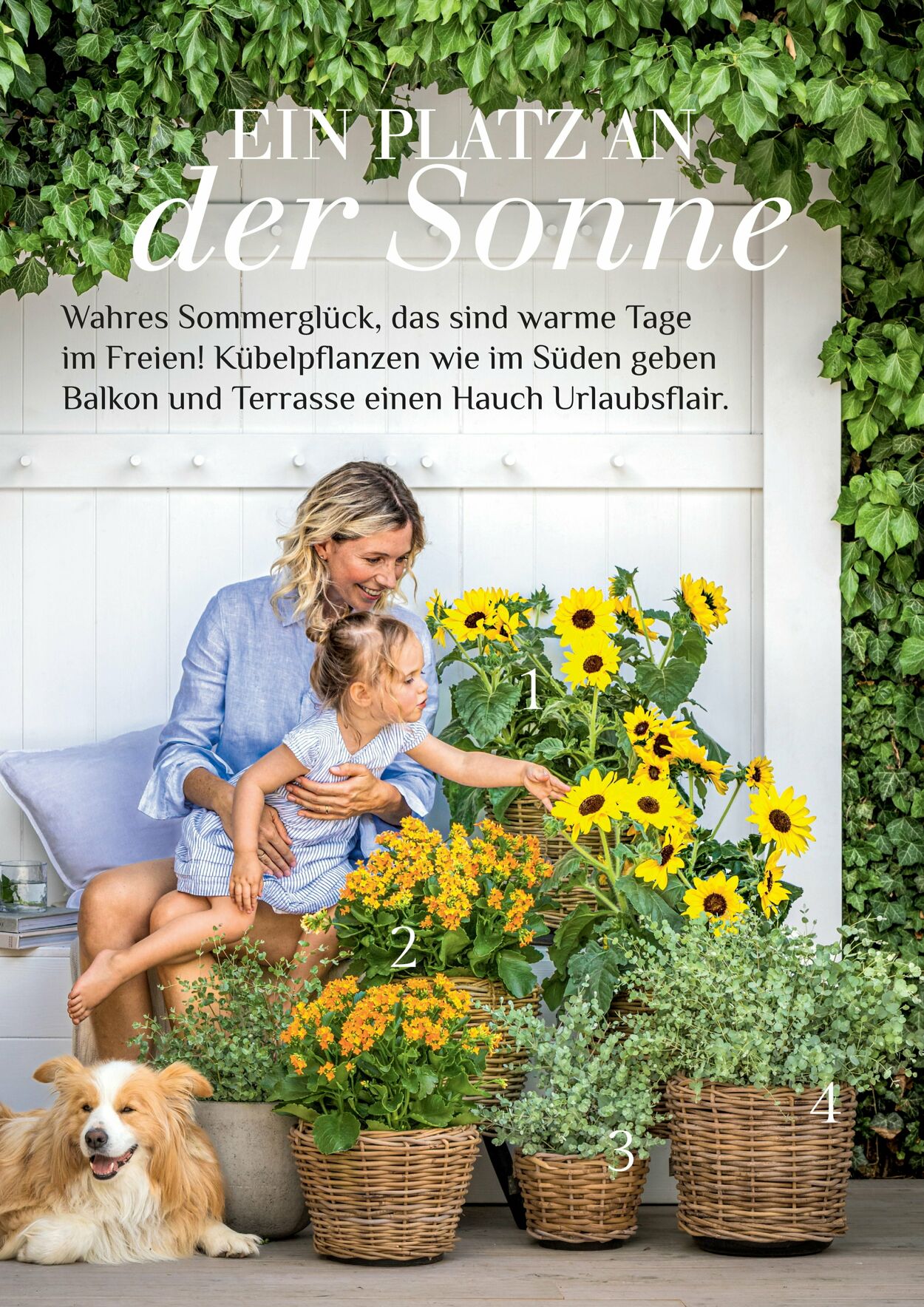 Prospekt Dehner 16.04.2026 - 24.04.2026