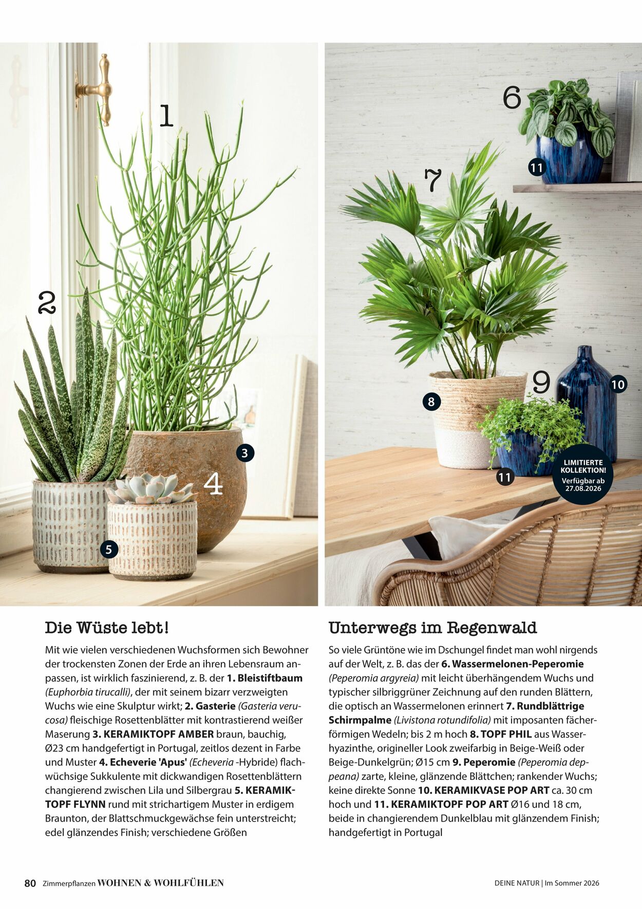 Prospekt Dehner 16.04.2026 - 24.04.2026