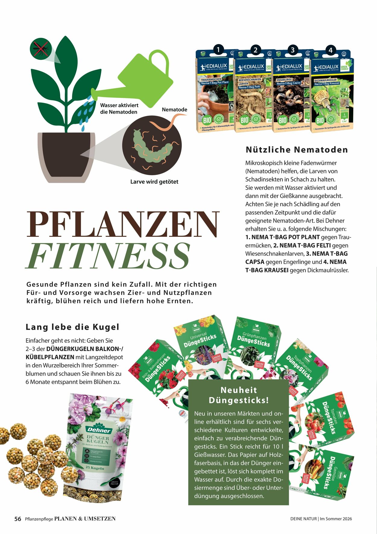 Prospekt Dehner 16.04.2026 - 24.04.2026