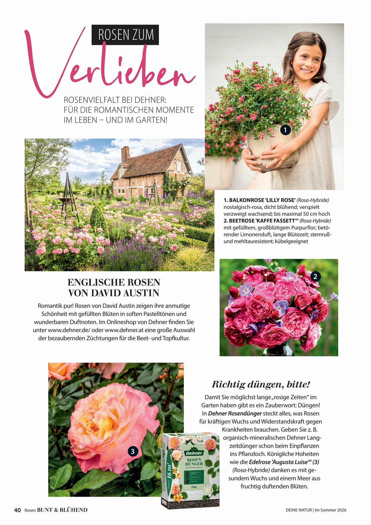 Prospekt Dehner 16.04.2026 - 24.04.2026