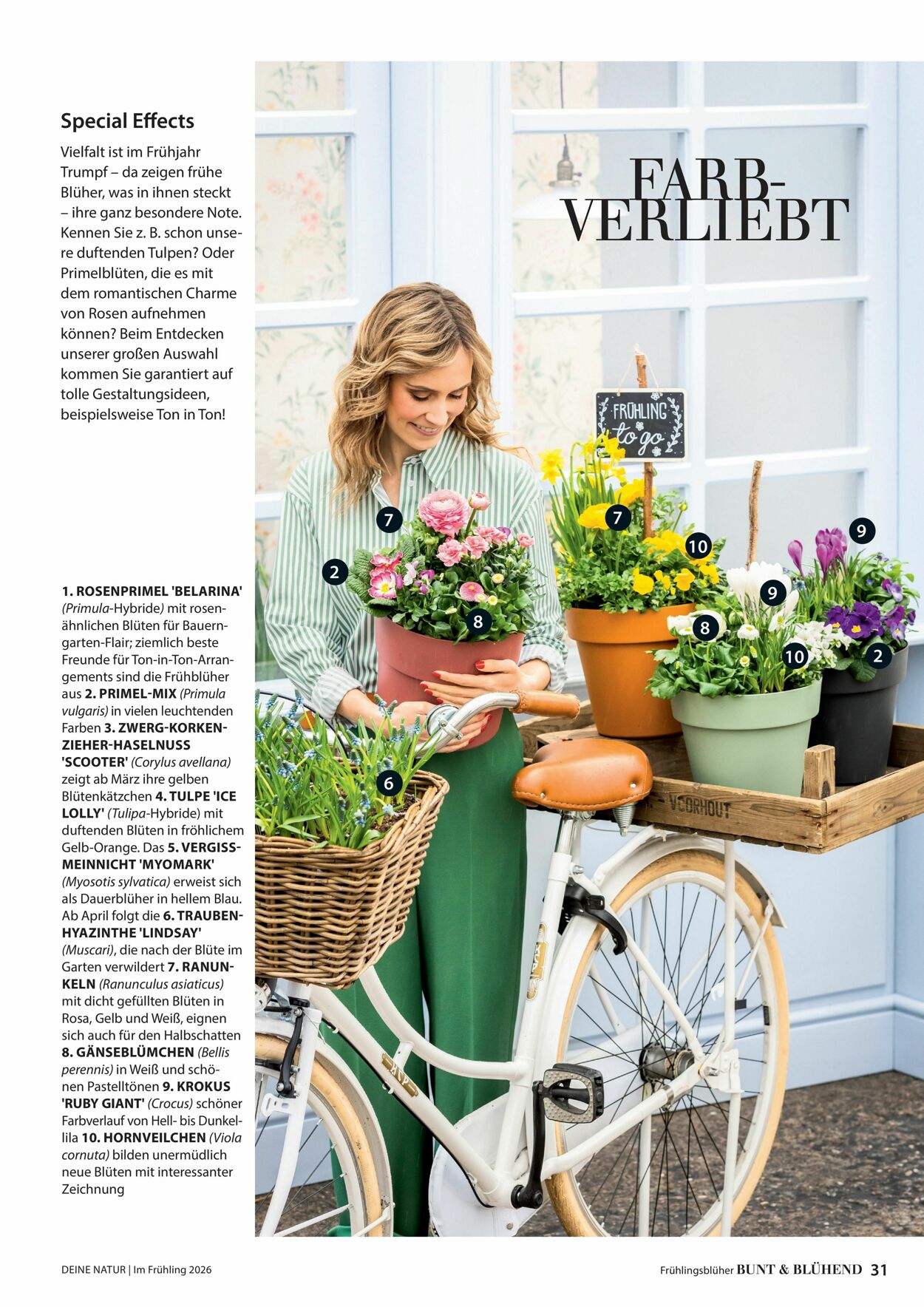 Prospekt Dehner 04.03.2026 - 12.03.2026