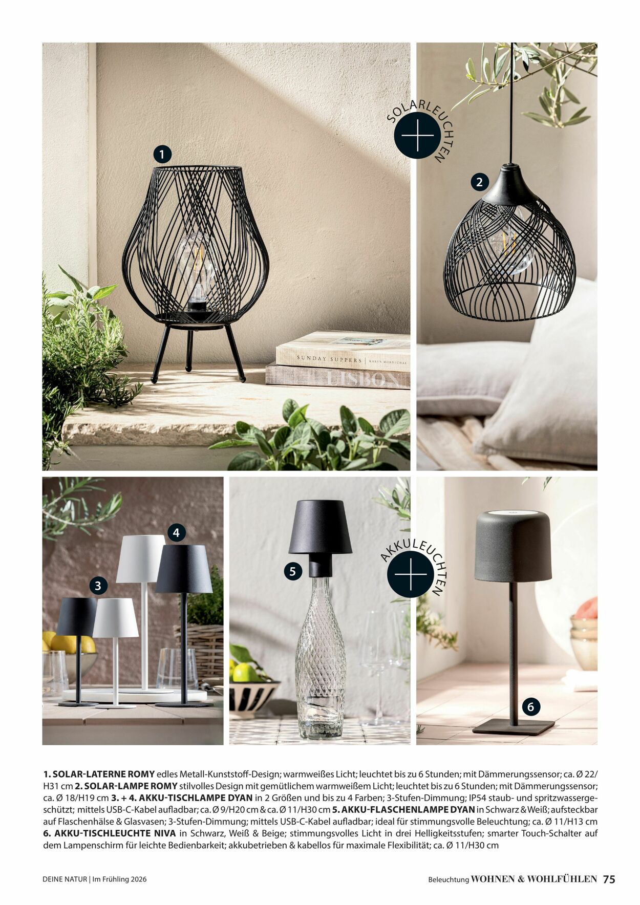 Prospekt Dehner 04.03.2026 - 12.03.2026