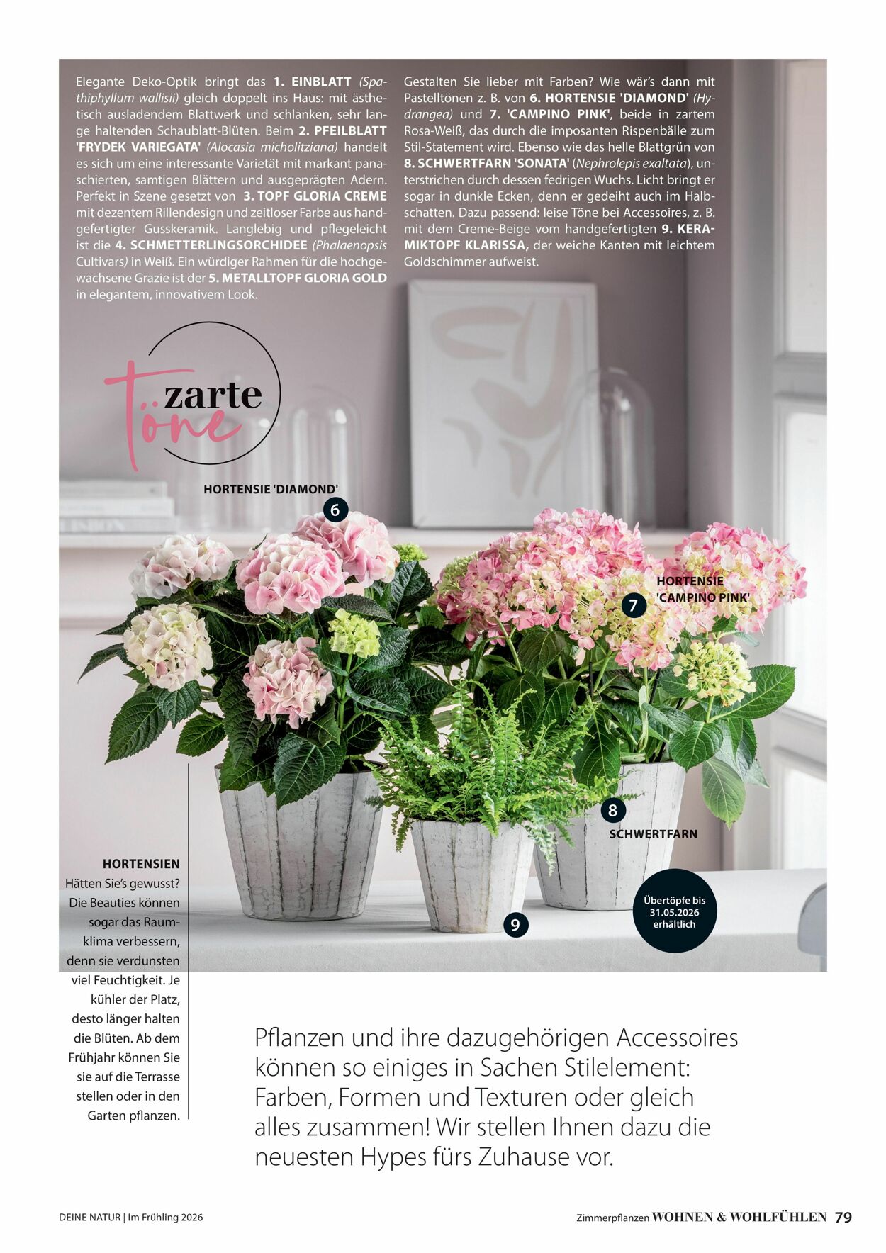 Prospekt Dehner 04.03.2026 - 12.03.2026